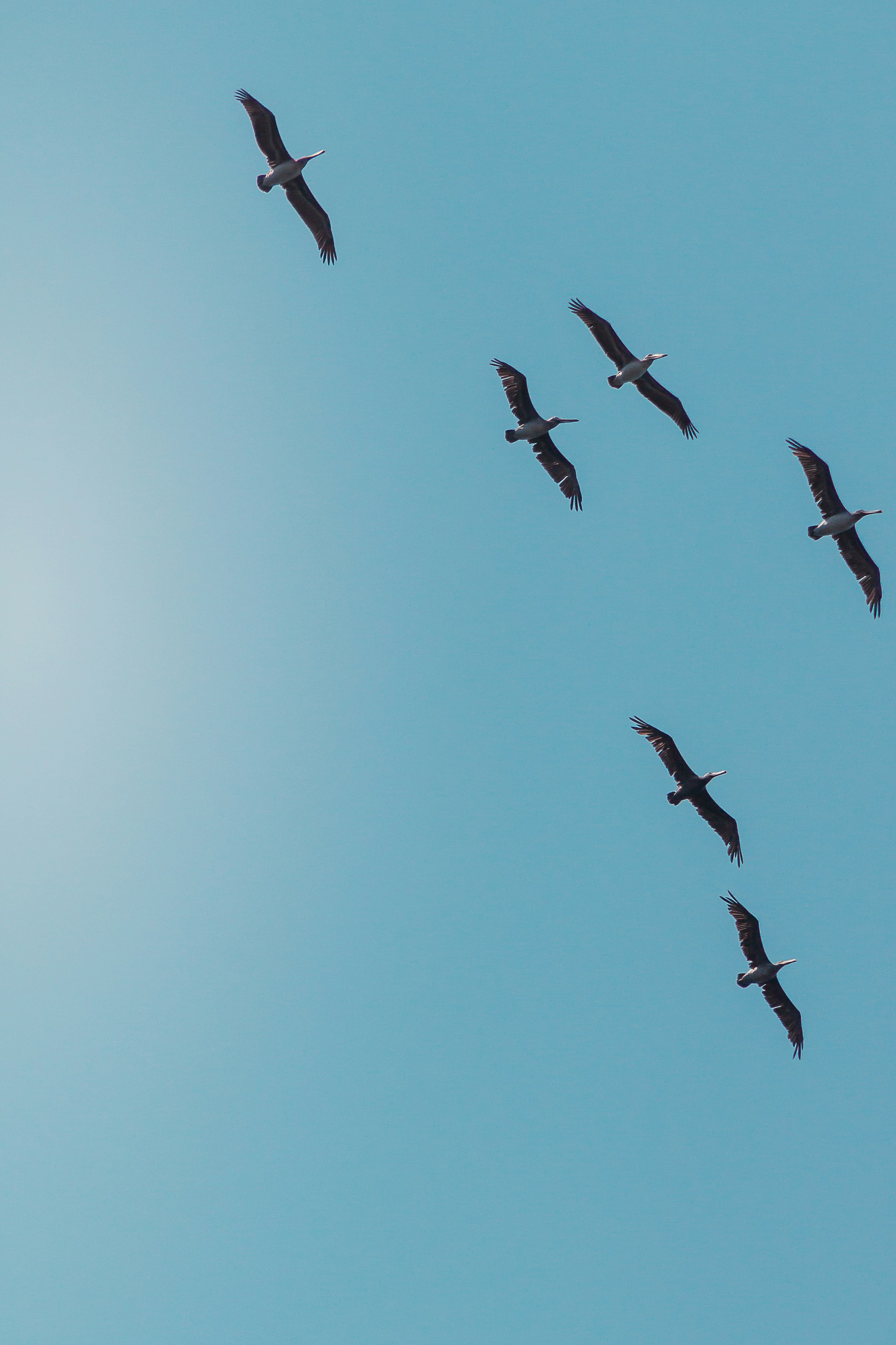 ¿Por qué tu negocio necesita una herramienta confiable de migración de OneDrive?