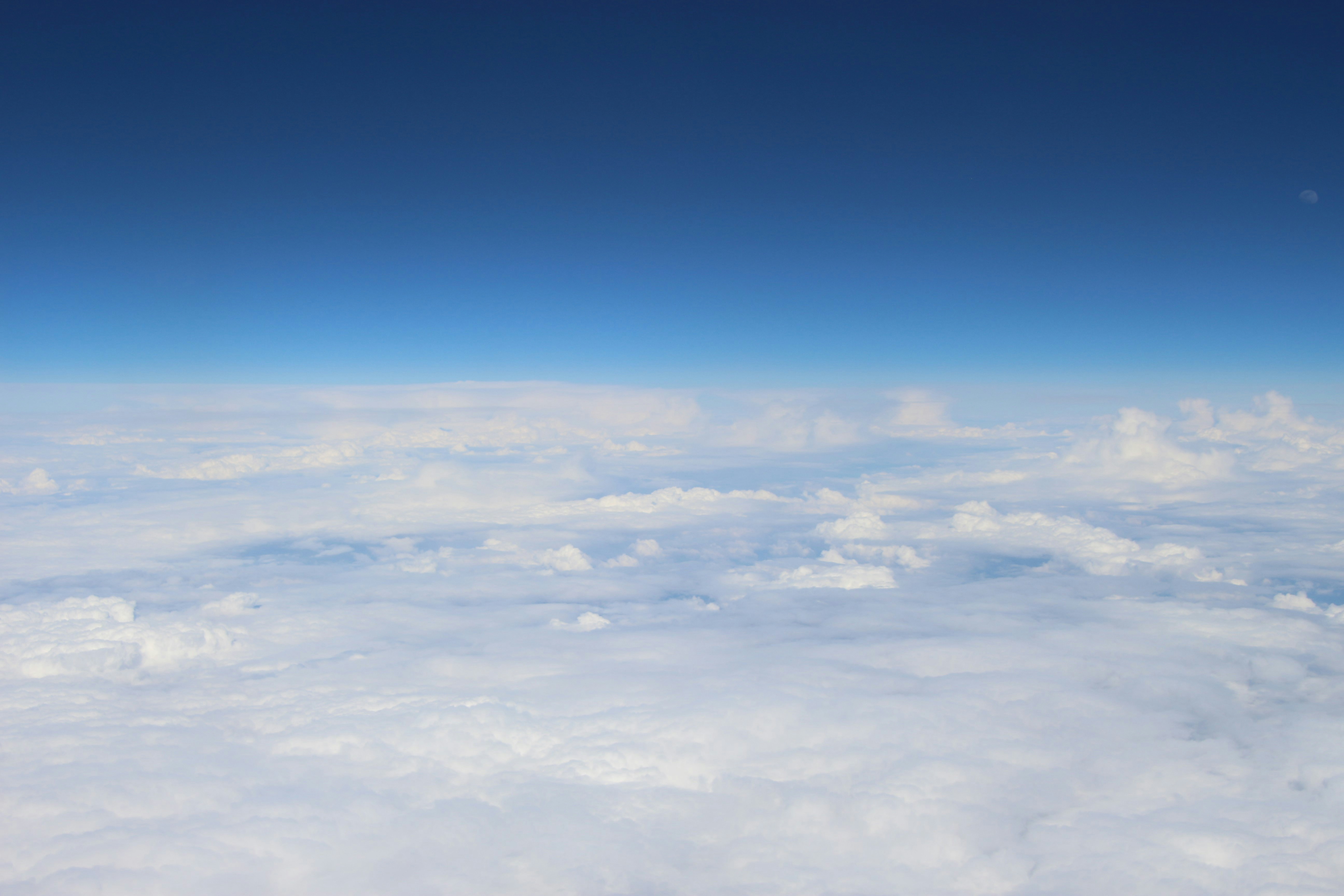 Base de datos oficial migrada a servicios en la nube: qué buscar