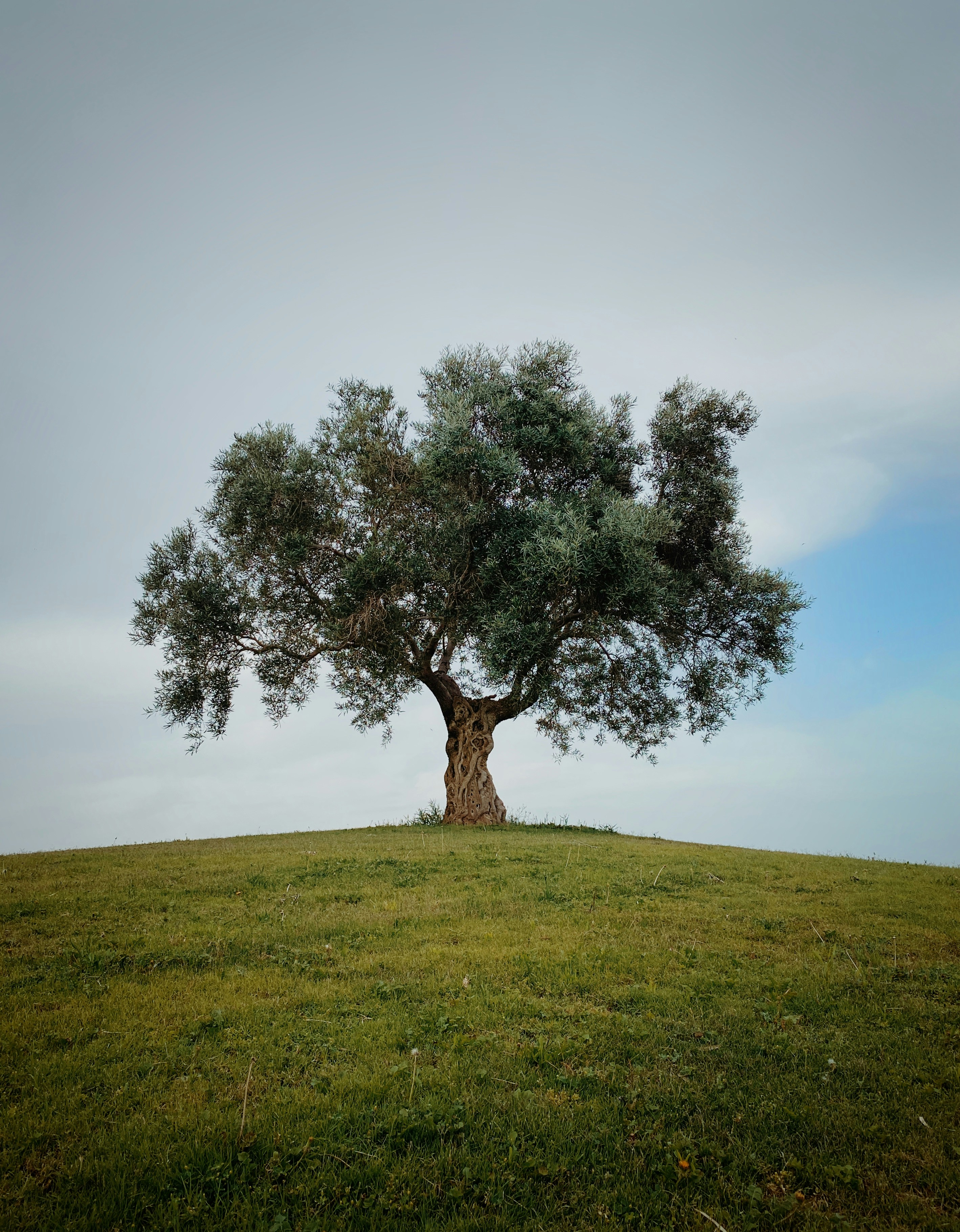Los 100 mejores expertos en inteligencia de negocios en Almería