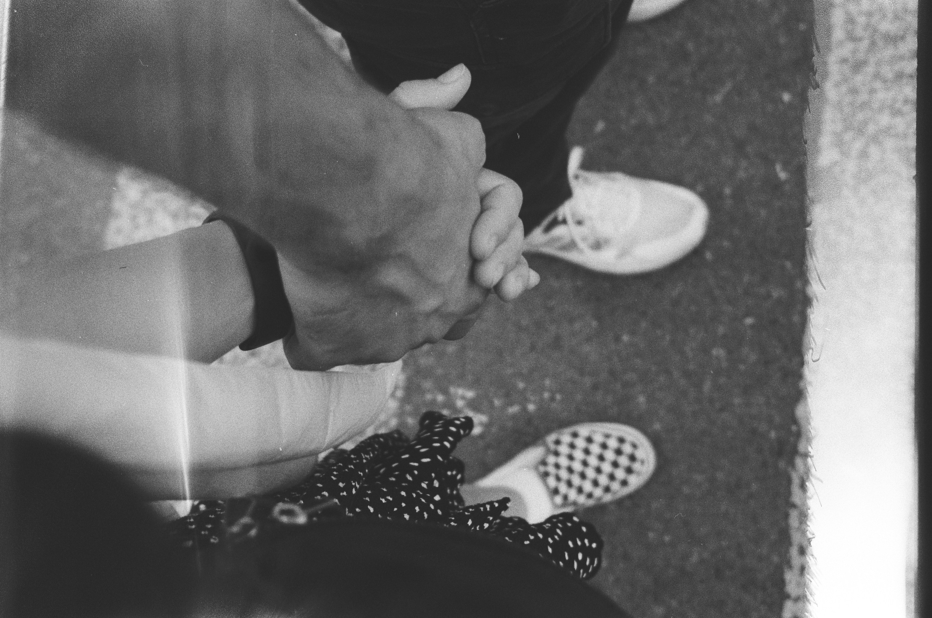 Conoce a los nuevos socios visitantes de YC