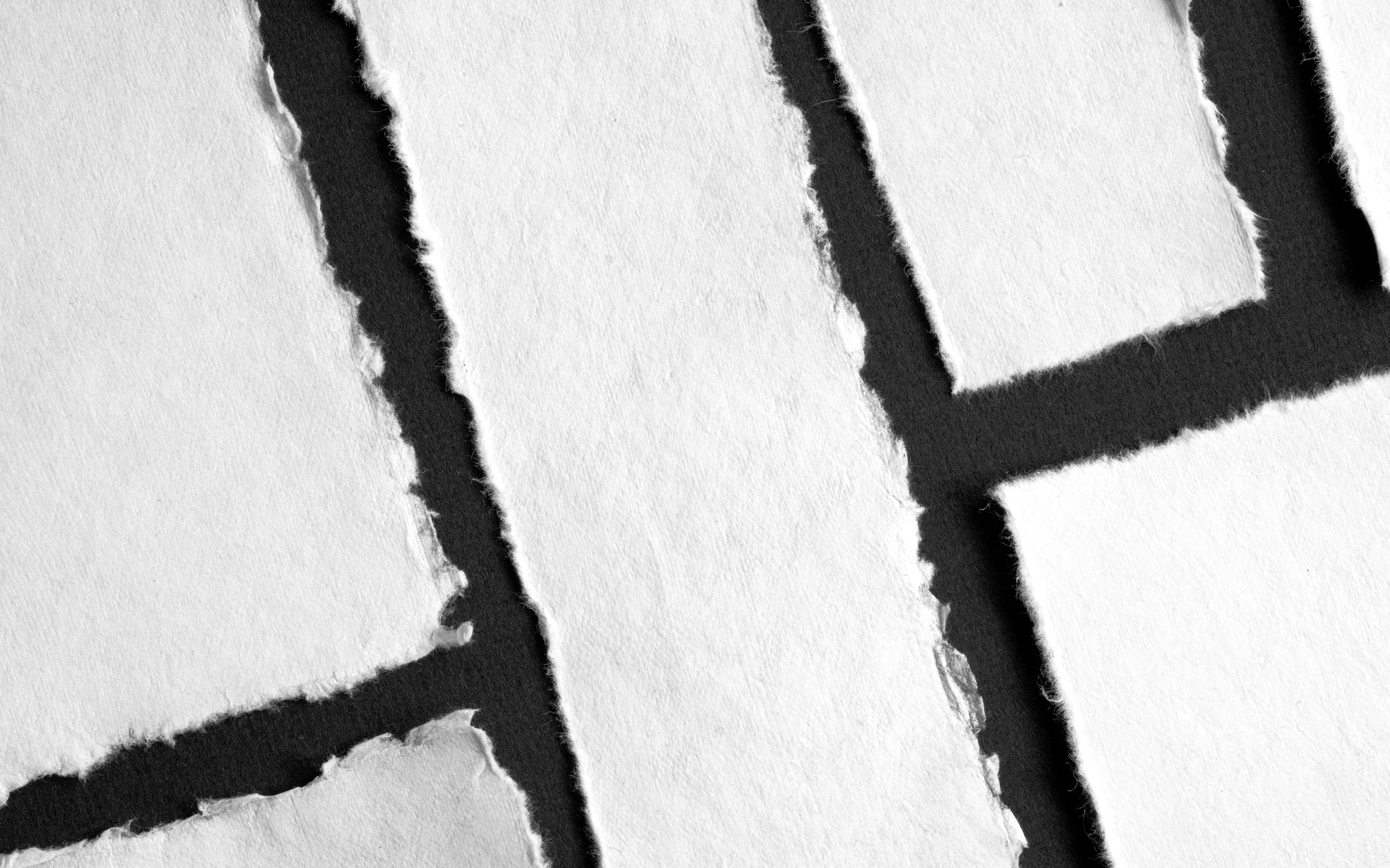 ¿Permite un equipo de desarrollo dedicado integraciones de terceros?