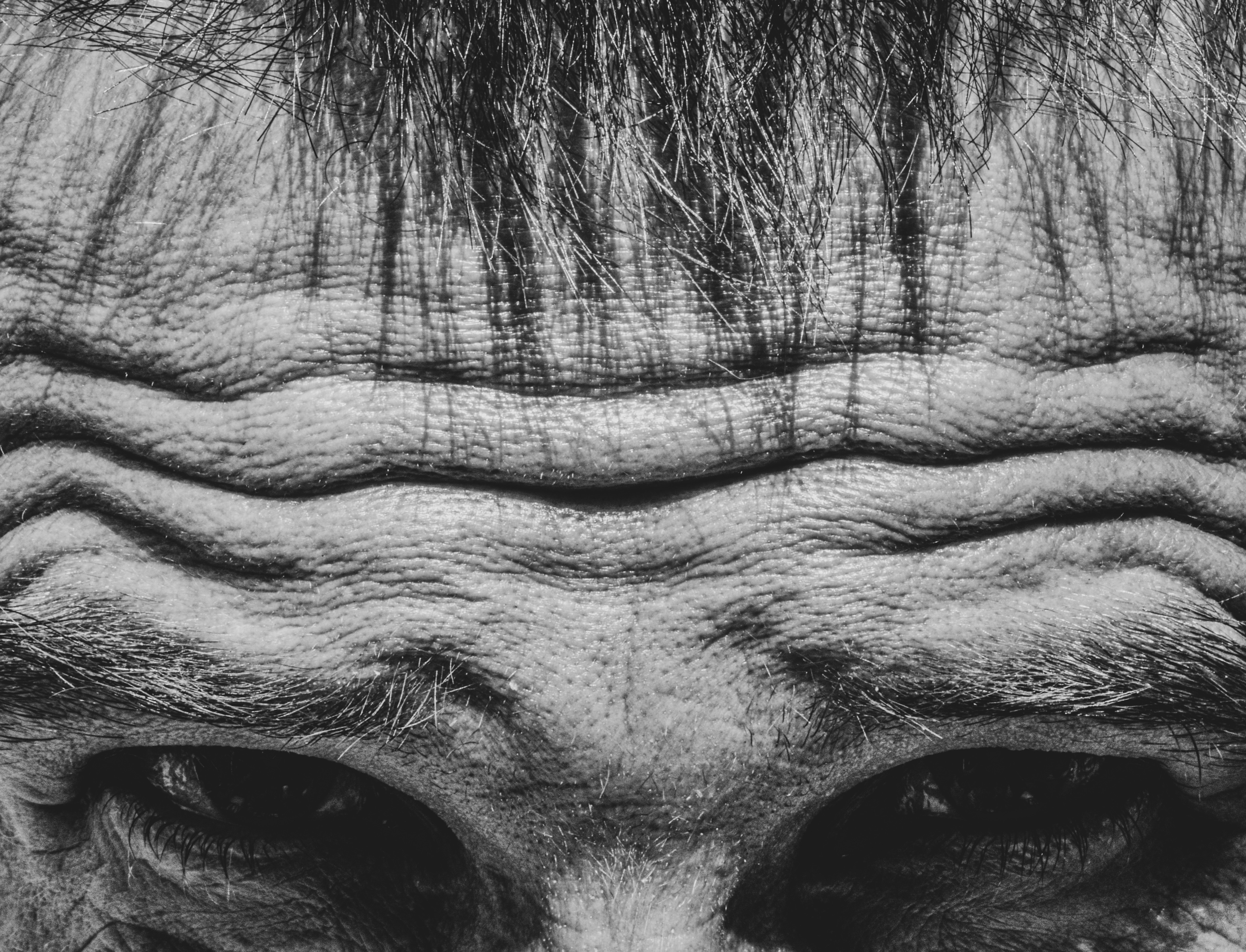 Supernodos y Halos: Centros Críticos de Pérdida en las Capas Feed-Forward de los LLM