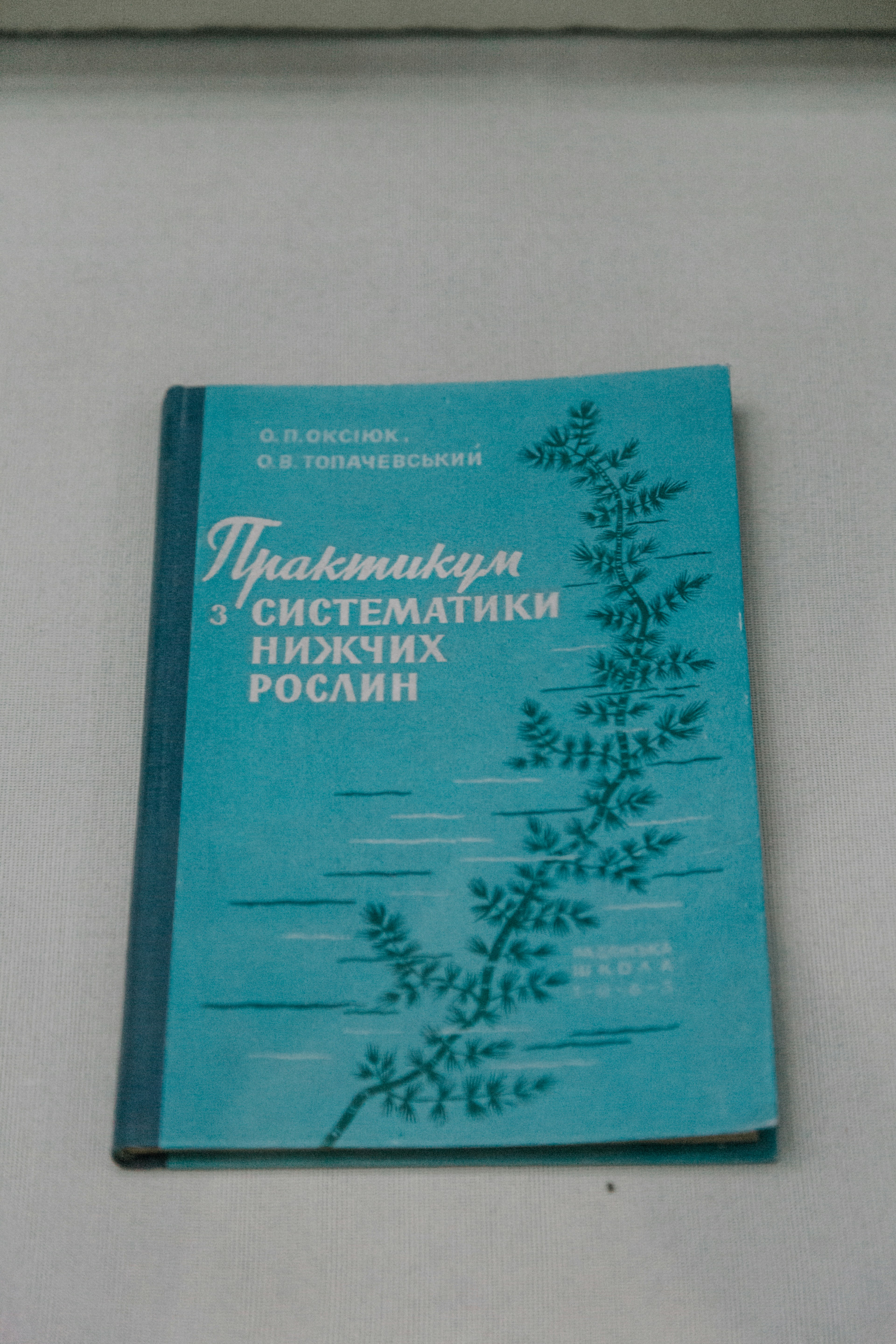 Una guía para principiantes del modelo Kokoro-82m-All-Voices de Vladpolbennikov en Replicate