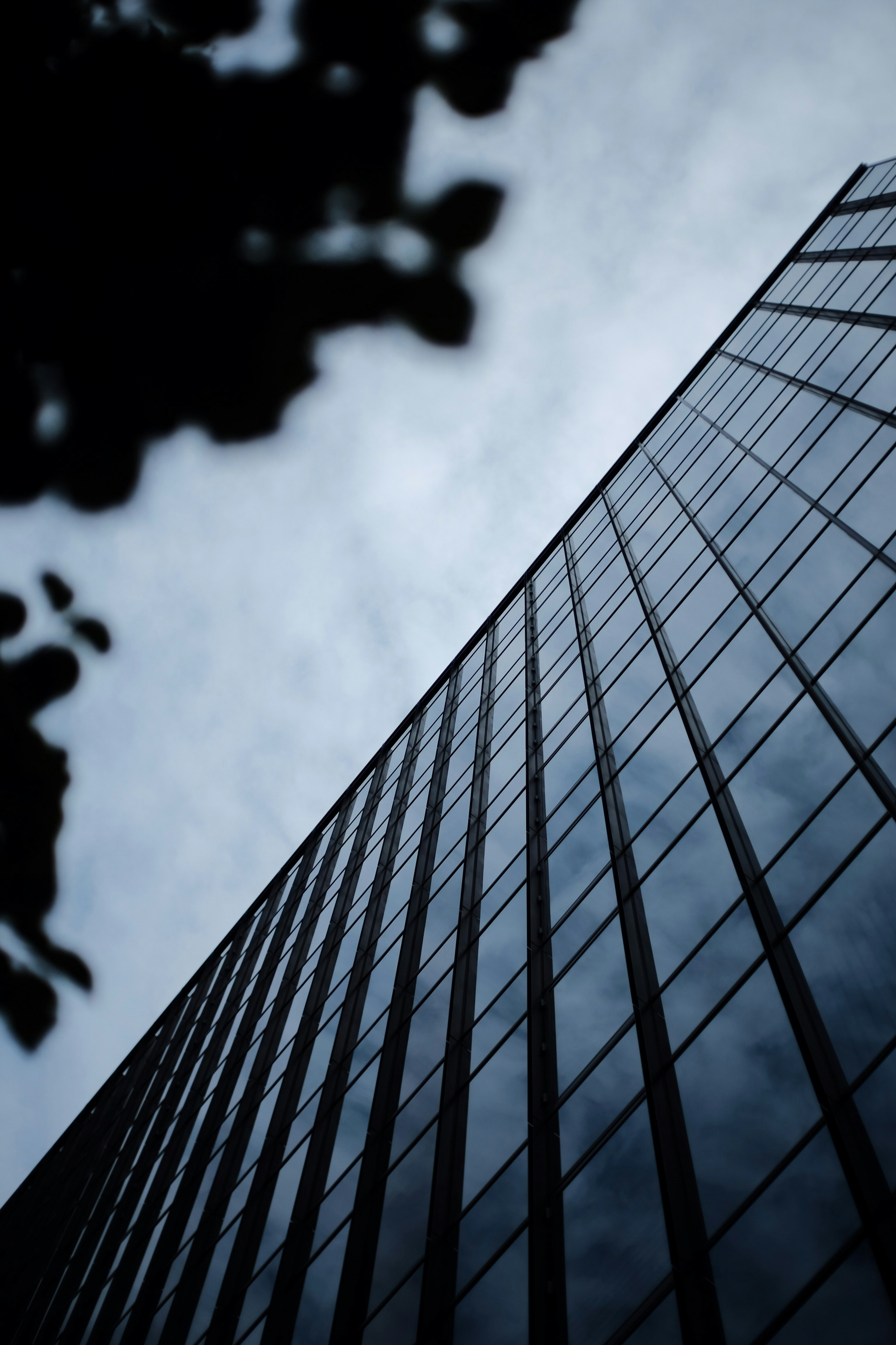 El nuevo organigrama: CAIO, Oficial de Riesgo de IA y compañía