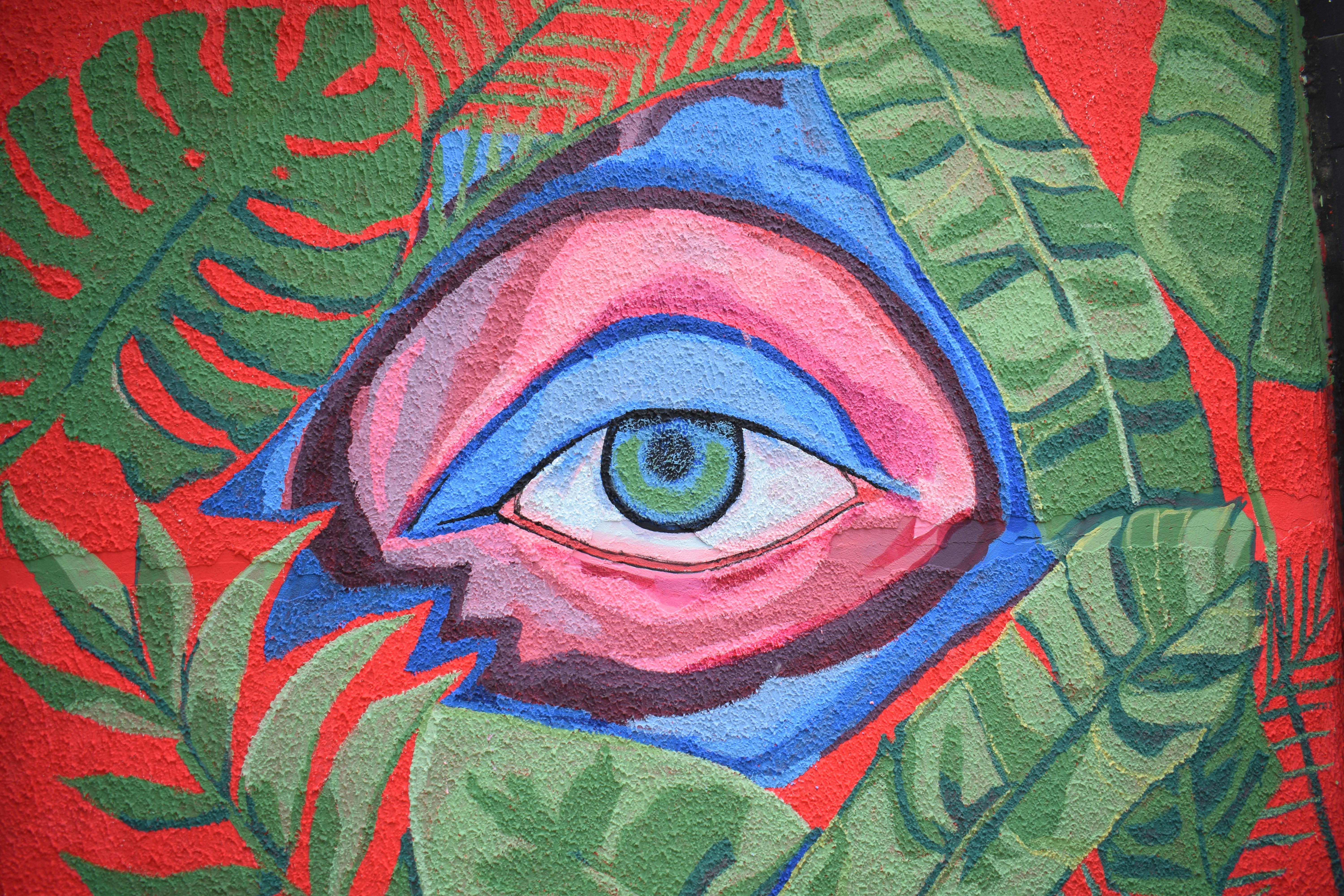 TELA DEL OJO DE LA MENTE