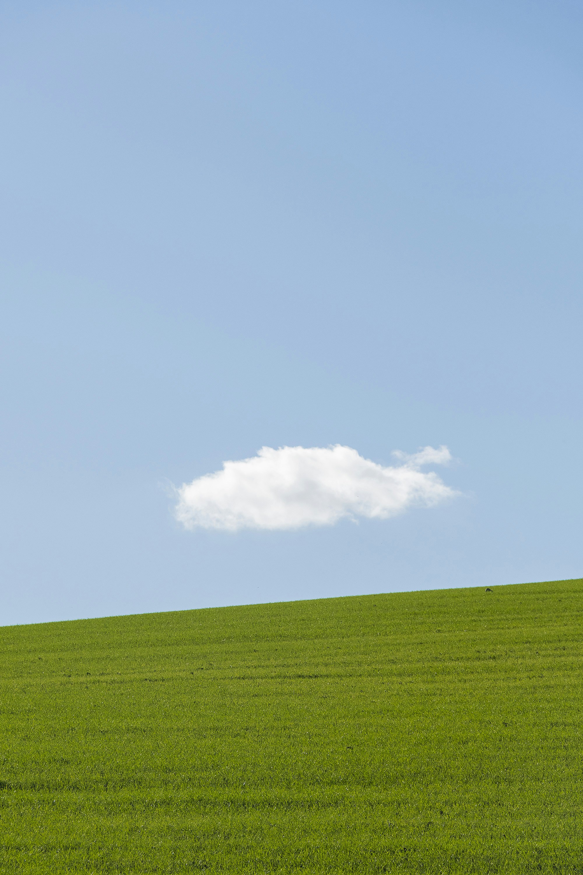 Qué es Microsoft Azure: guía completa para entender la nube de Microsoft y su impacto en las empresas