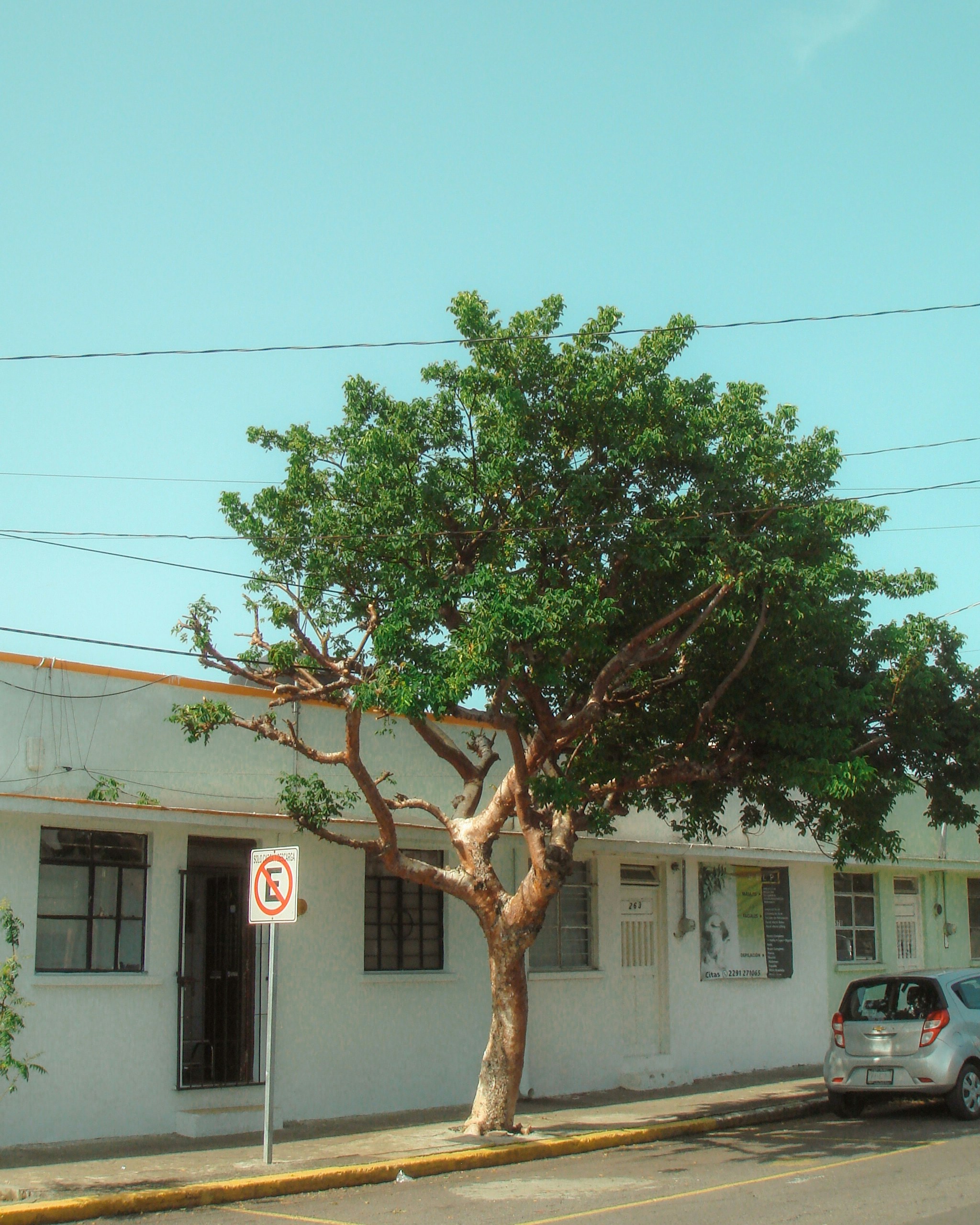 n8n en San Vicente del Raspeig