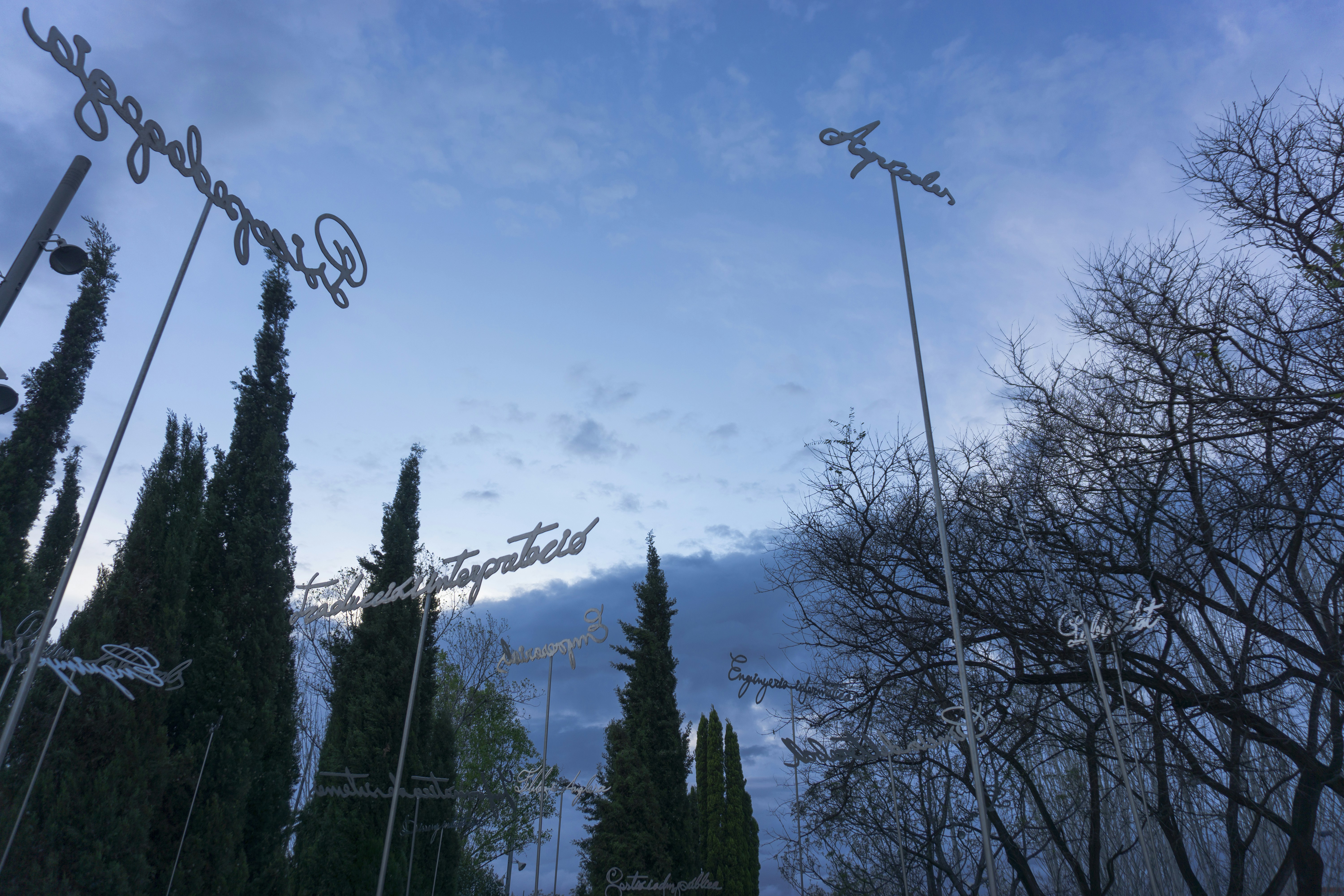 Power BI en Castellón de la Plana