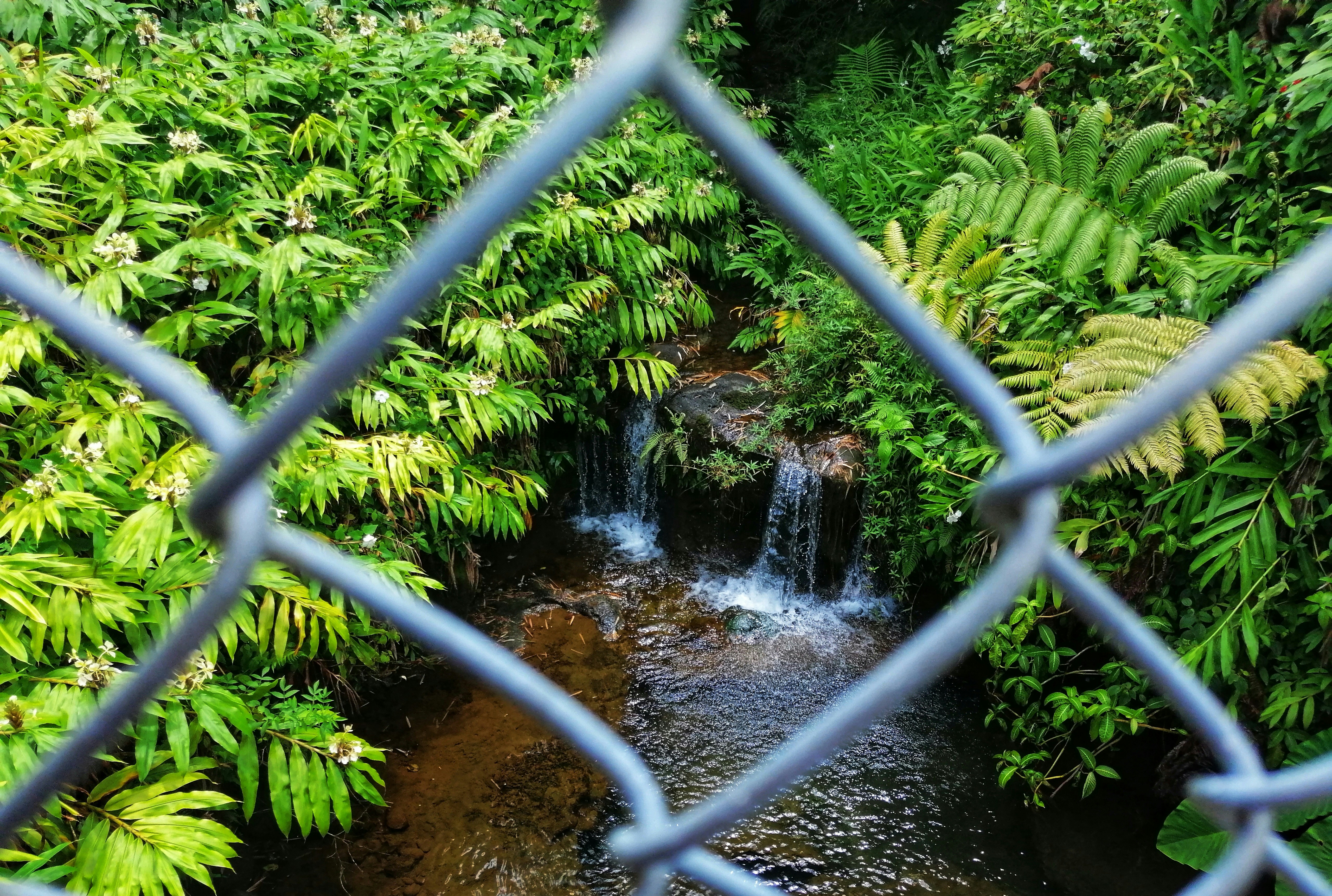 Detener la selección de GPUs. Enviar modelos presentando Jungle Grid