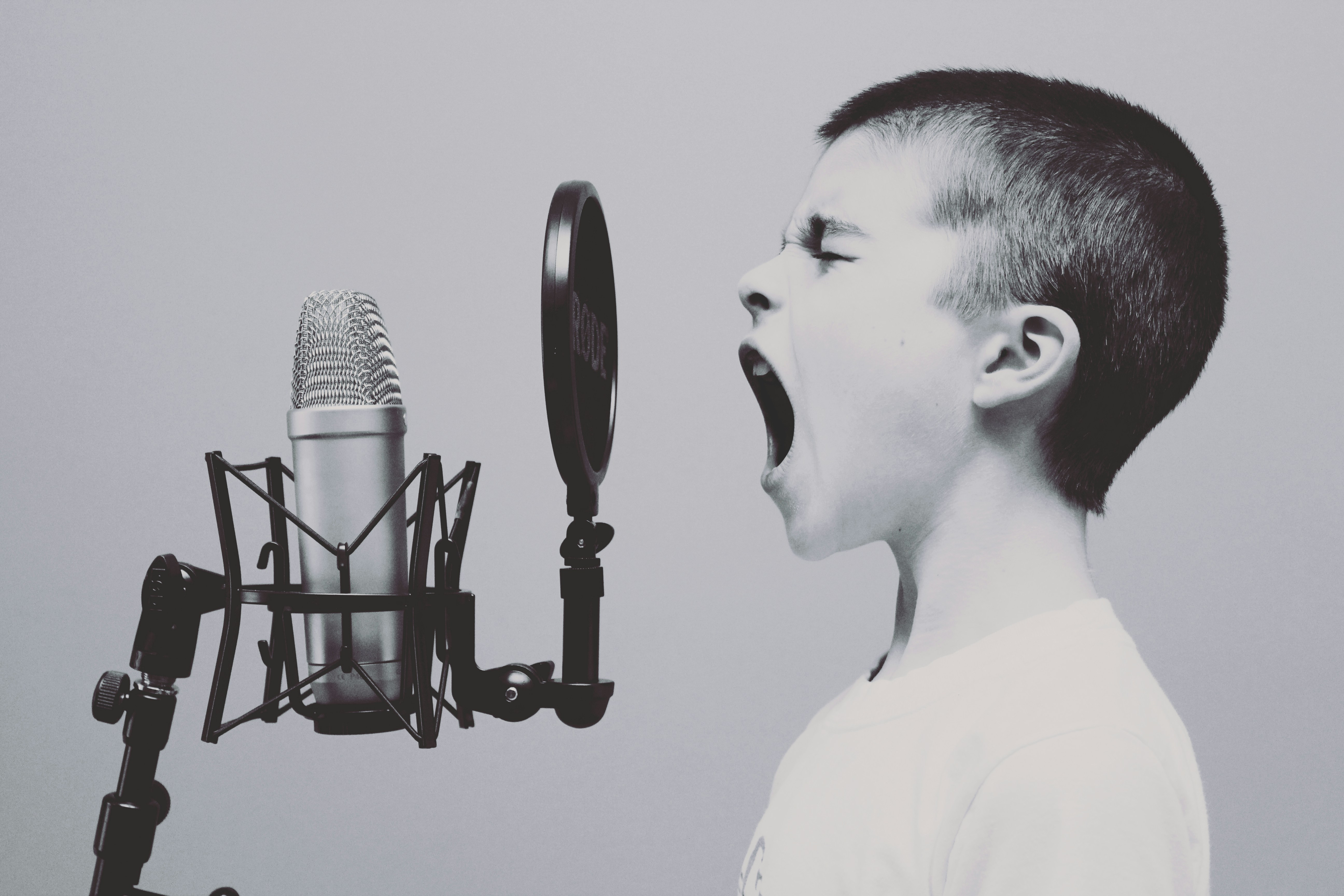 Diferencias acústicas y perceptuales en clones de voz estándar y acentuada