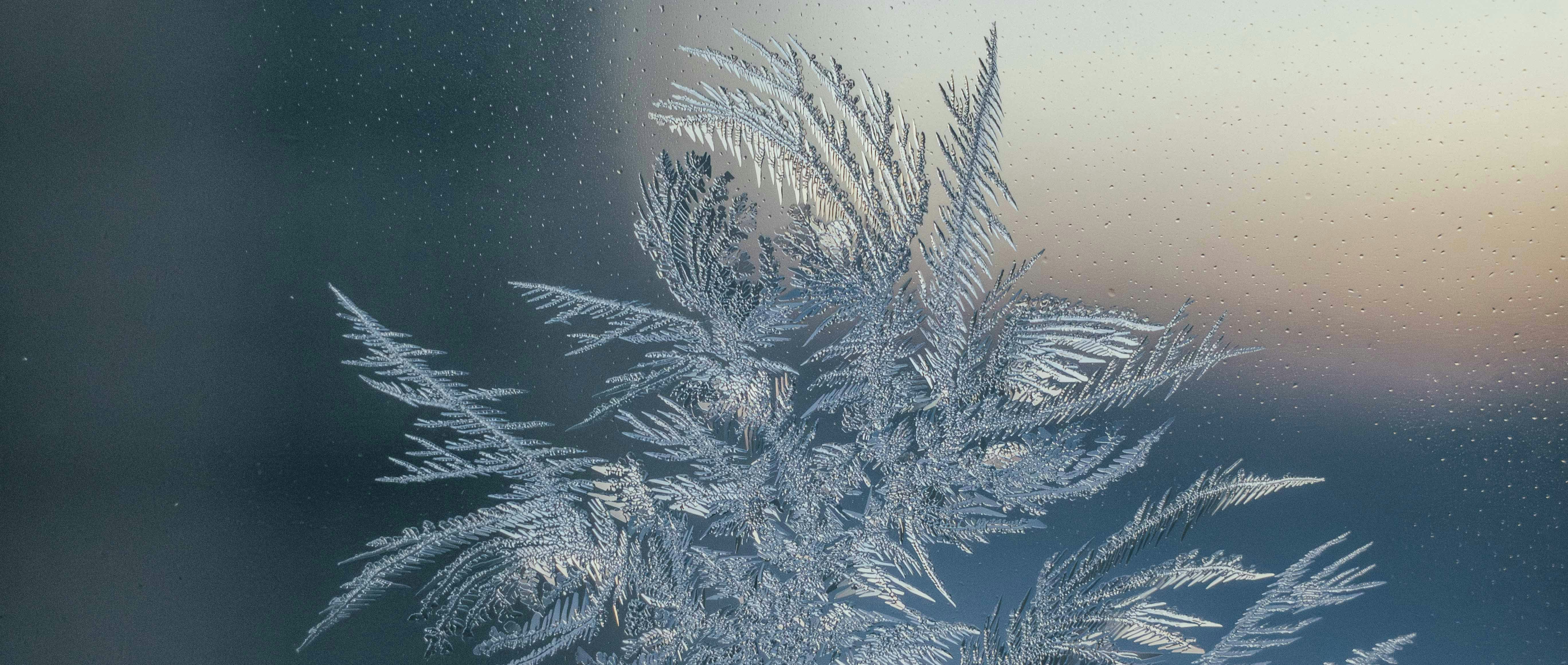 Cómo ver Frost Fatales 2026, que comienza el 8 de marzo