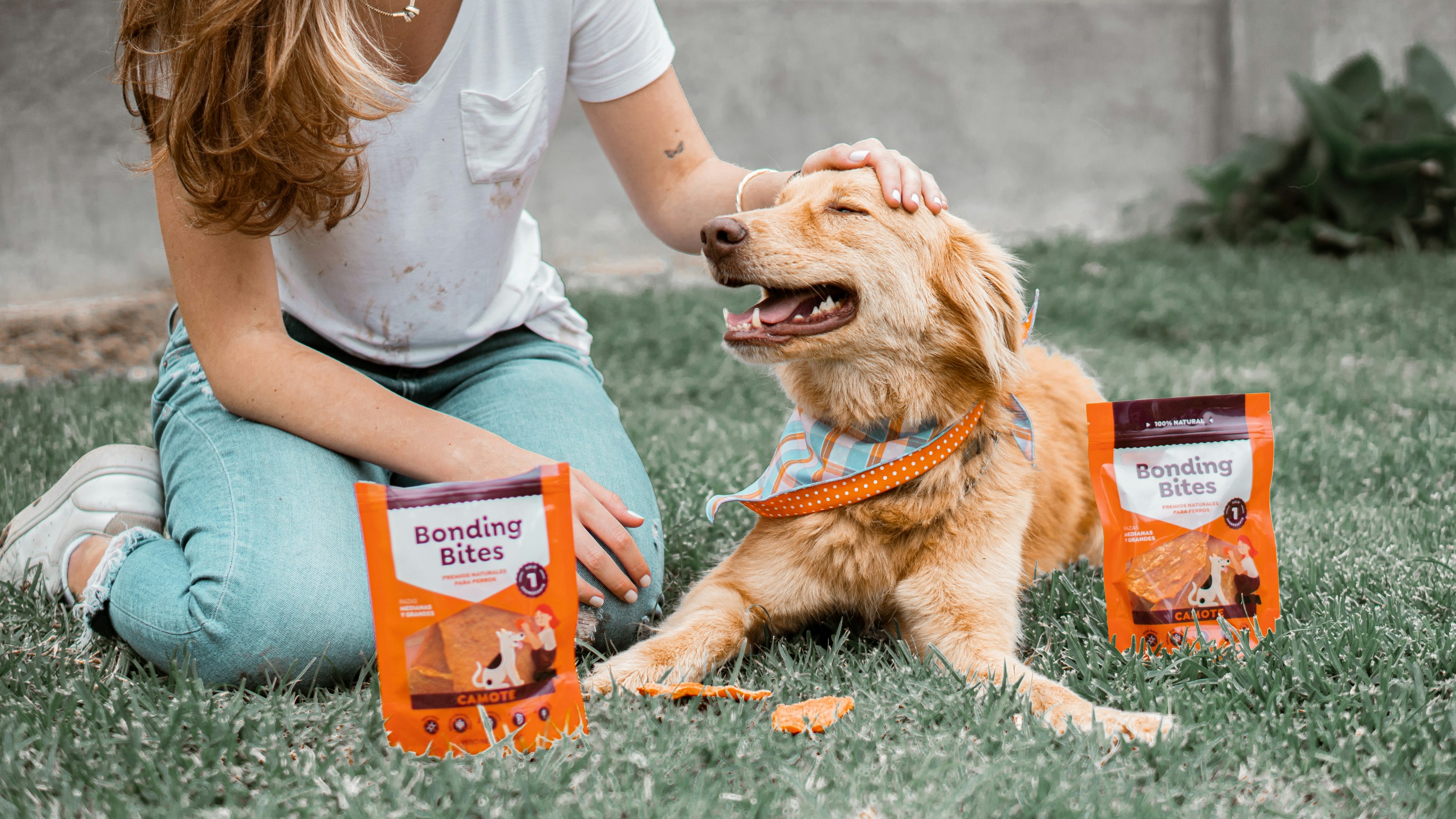 Drizzle on top: una nueva marca de comida para perros de alta gama llega para el 1%
