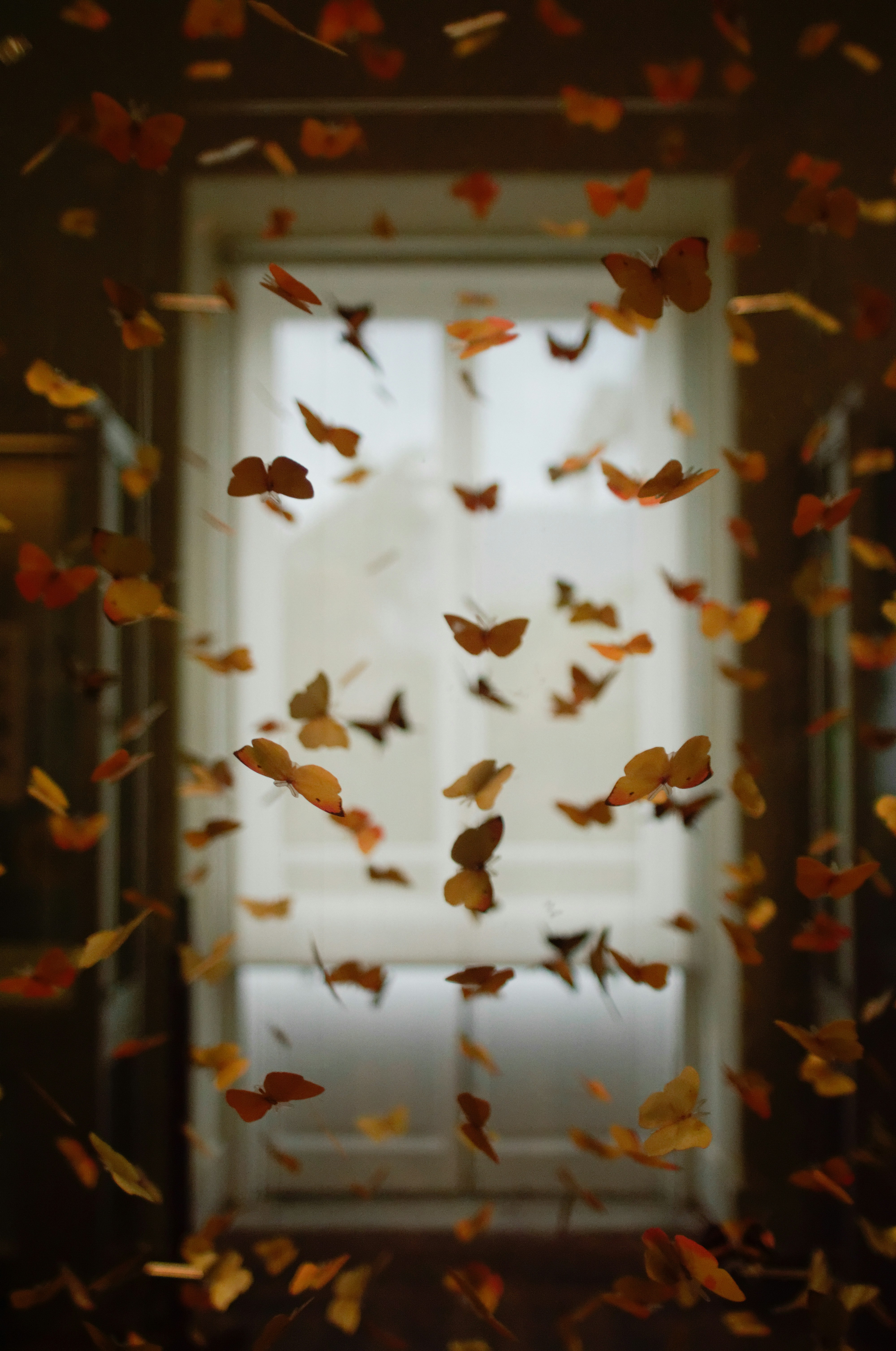 Efecto mariposa: origen, ciencia y vida cotidiana