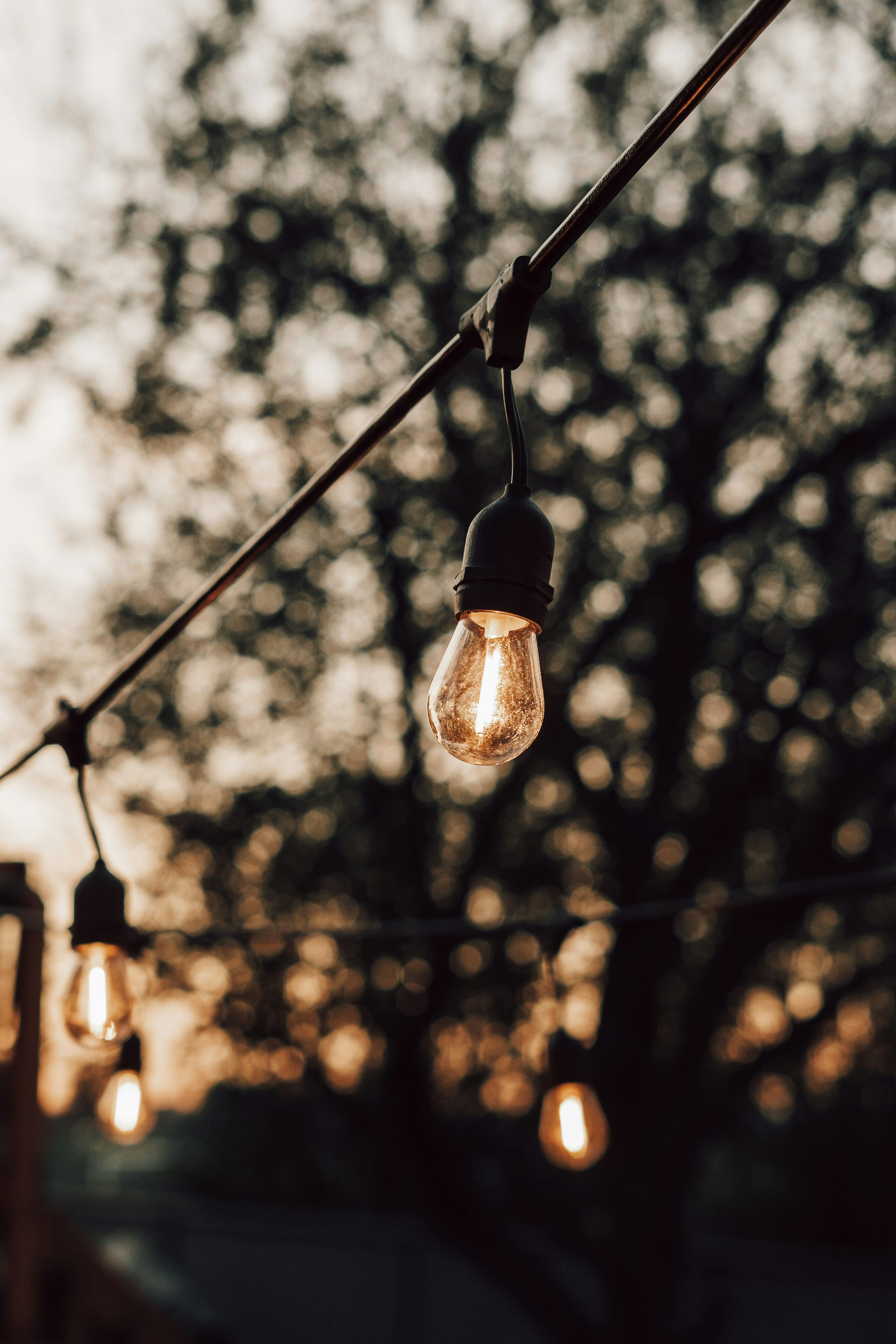 El regalo definitivo para anfitriones de jardín: luces Govee