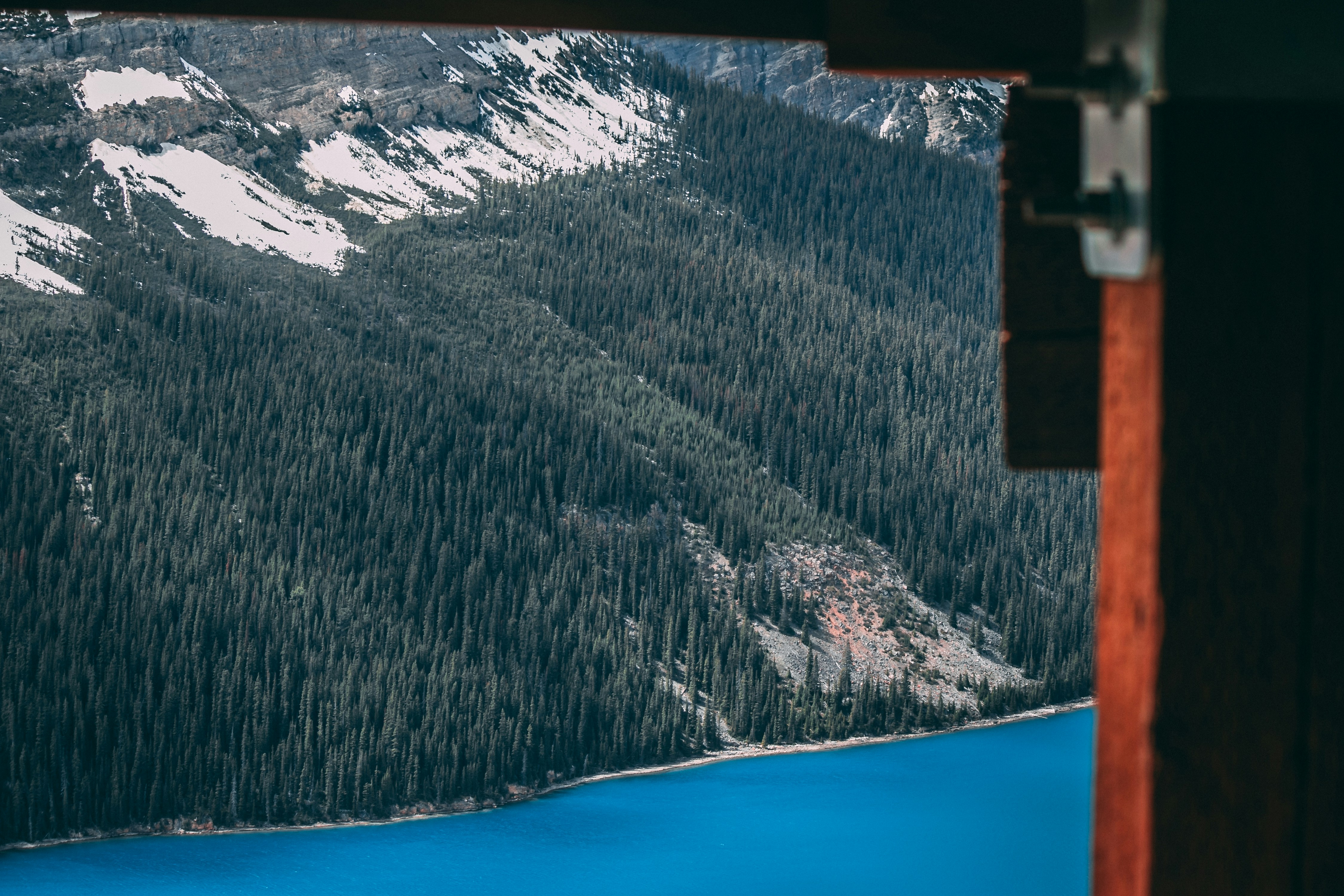 Eliminador de fondo de IA: Calidad de imagen y precisión de bordes