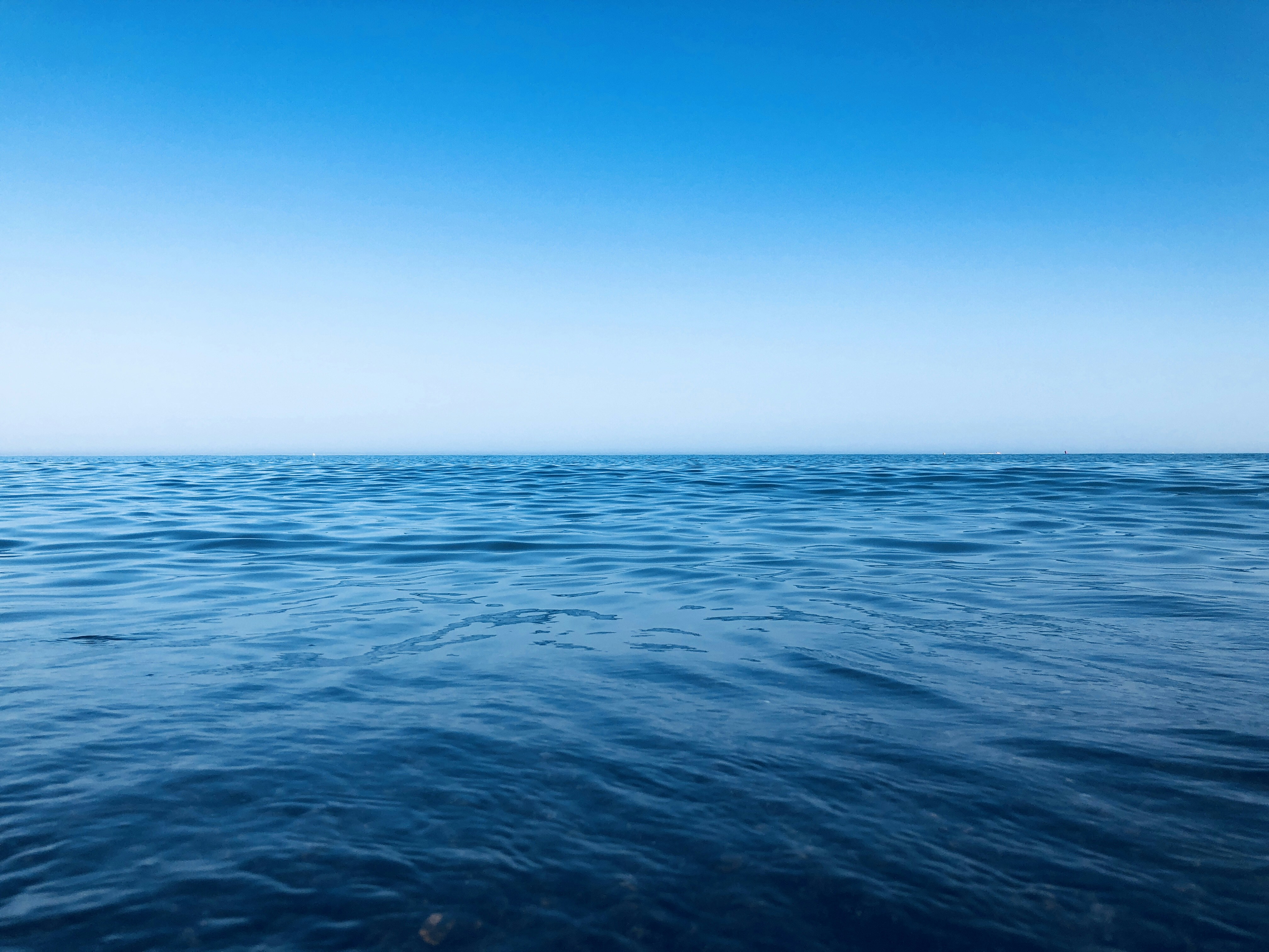 Compañía de servicios de software en Torremolinos