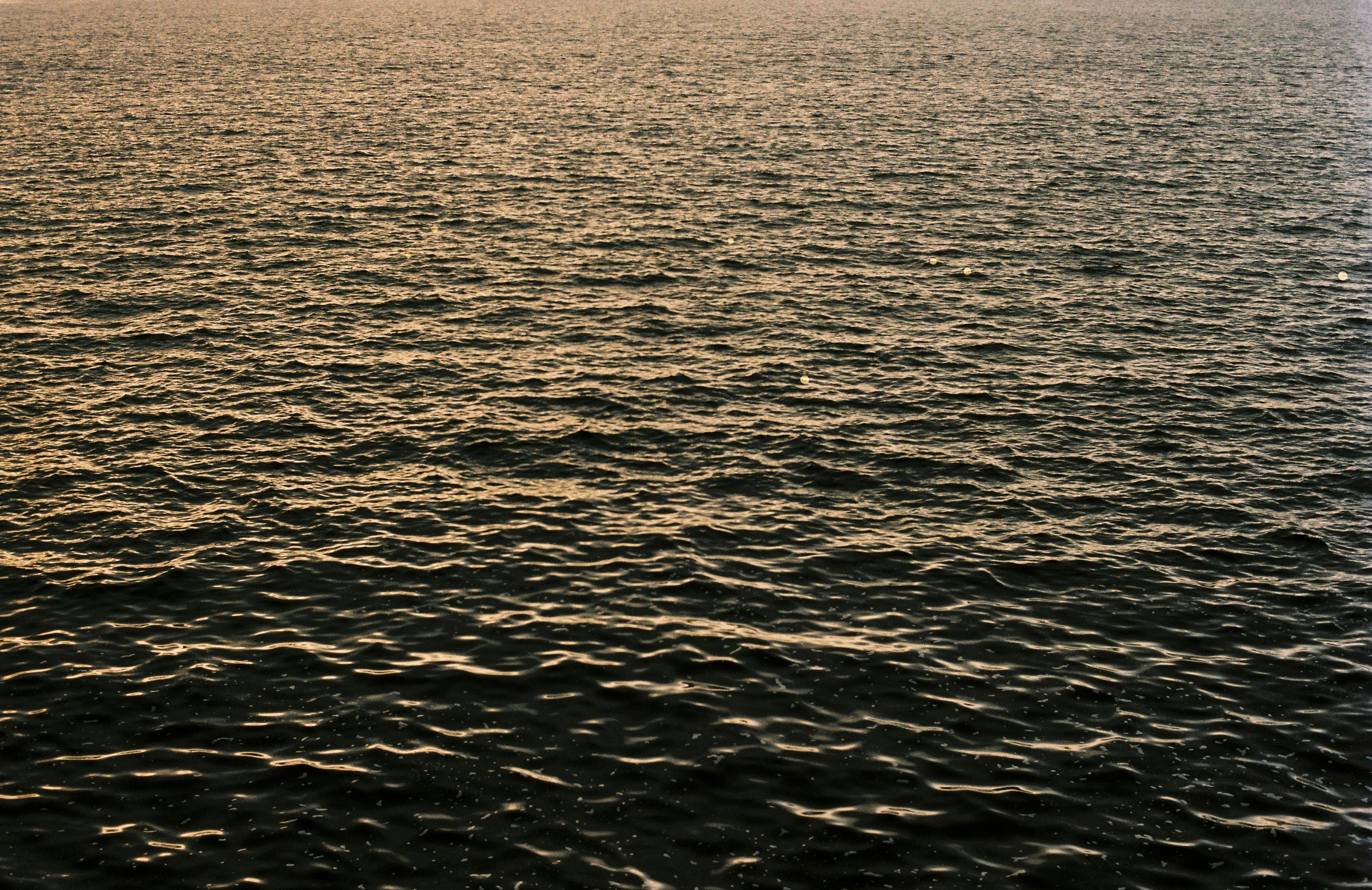 Empresa de n8n para servicios empresariales en Getxo