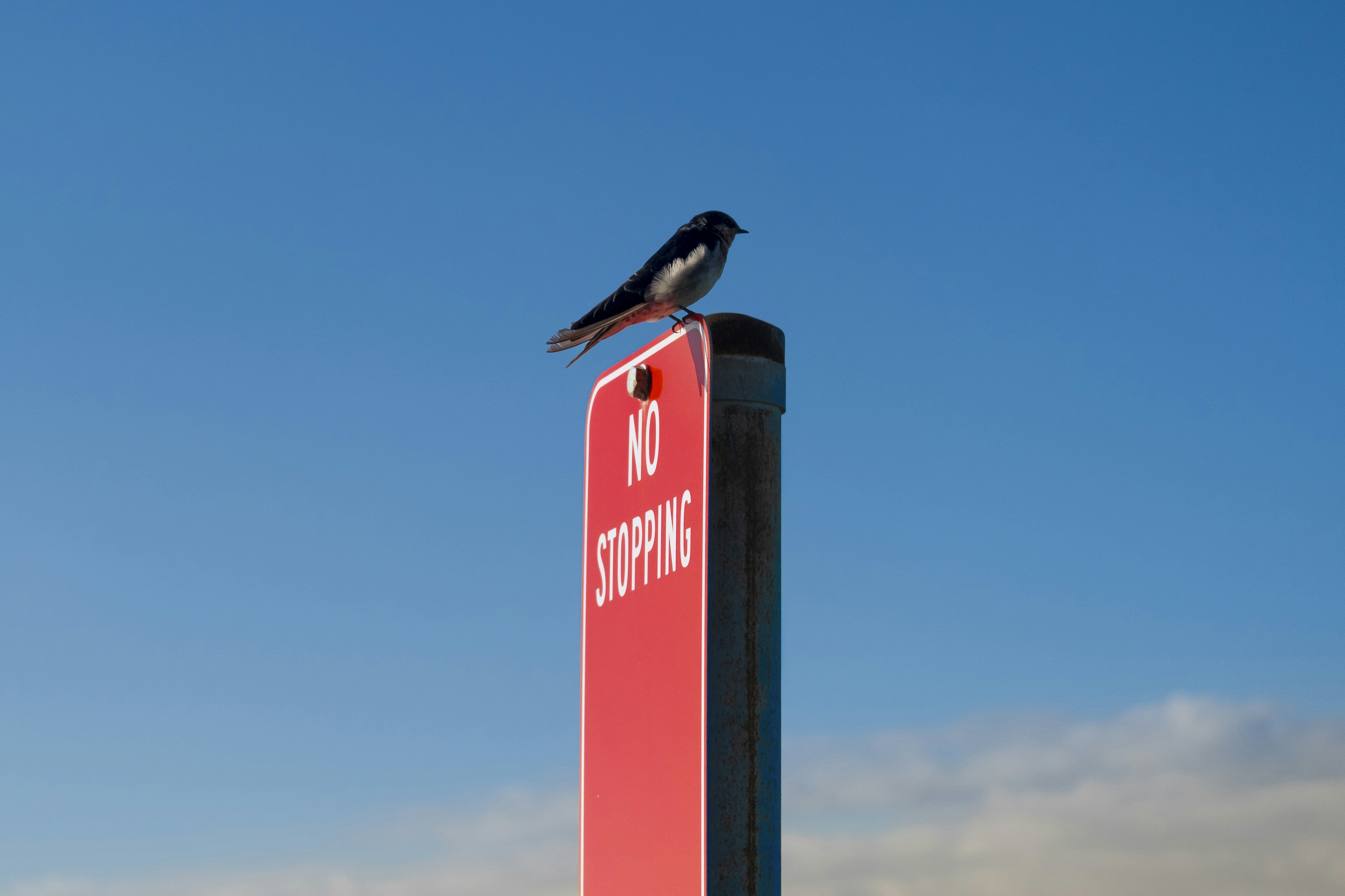 Empresa de aplicaciones en A Coruña