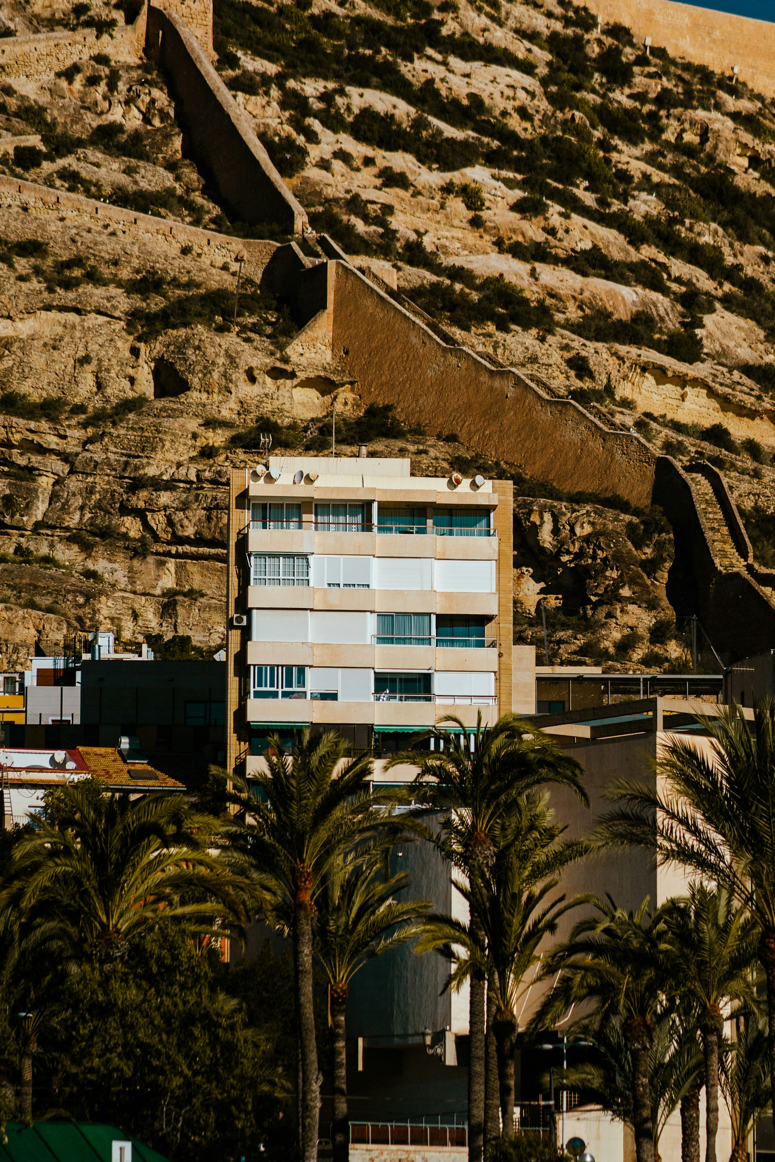 Empresa de servicios de desarrollo de aplicaciones en Alicante