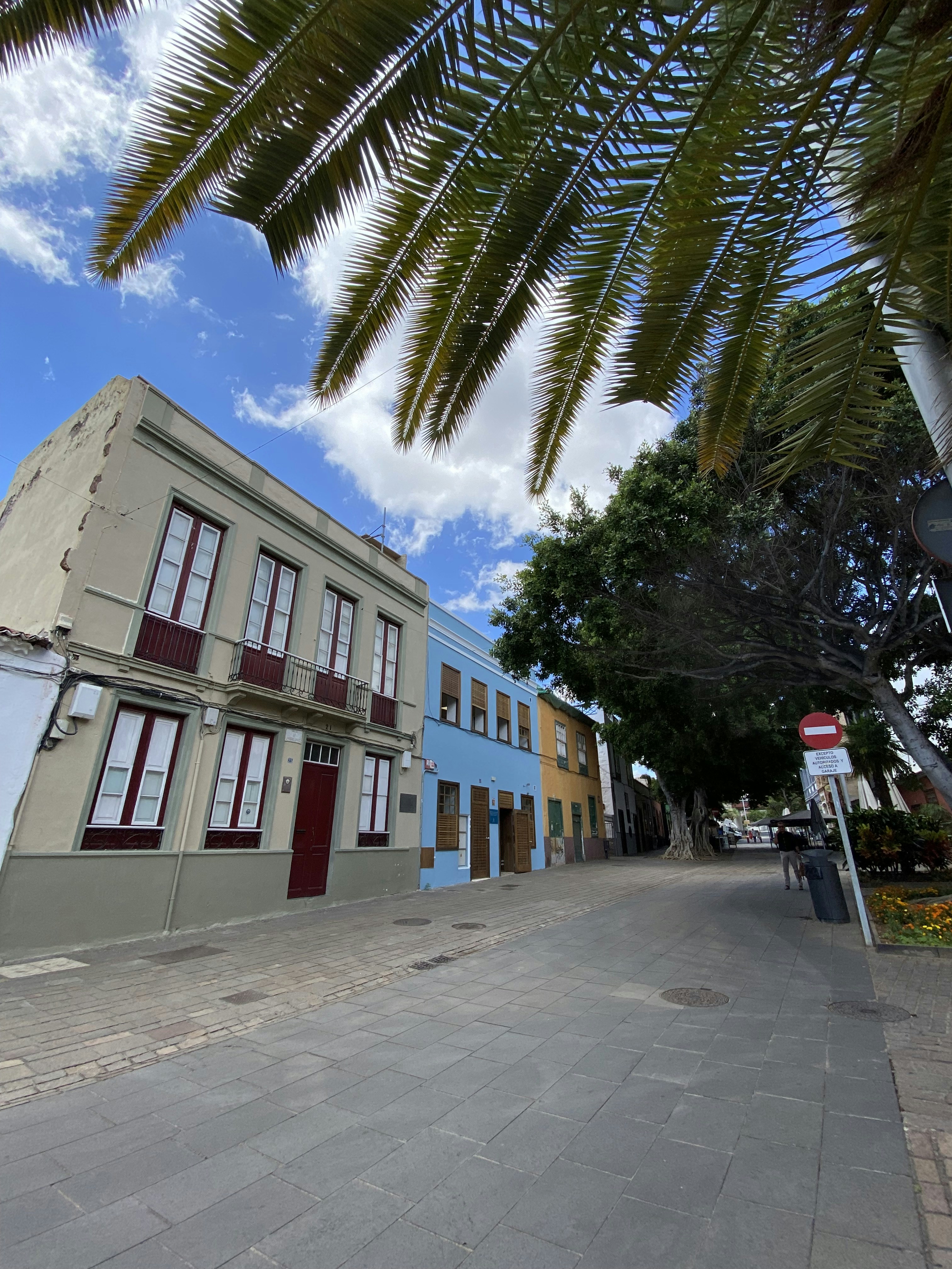 empresa de aplicaciones en Santa Cruz de Tenerife