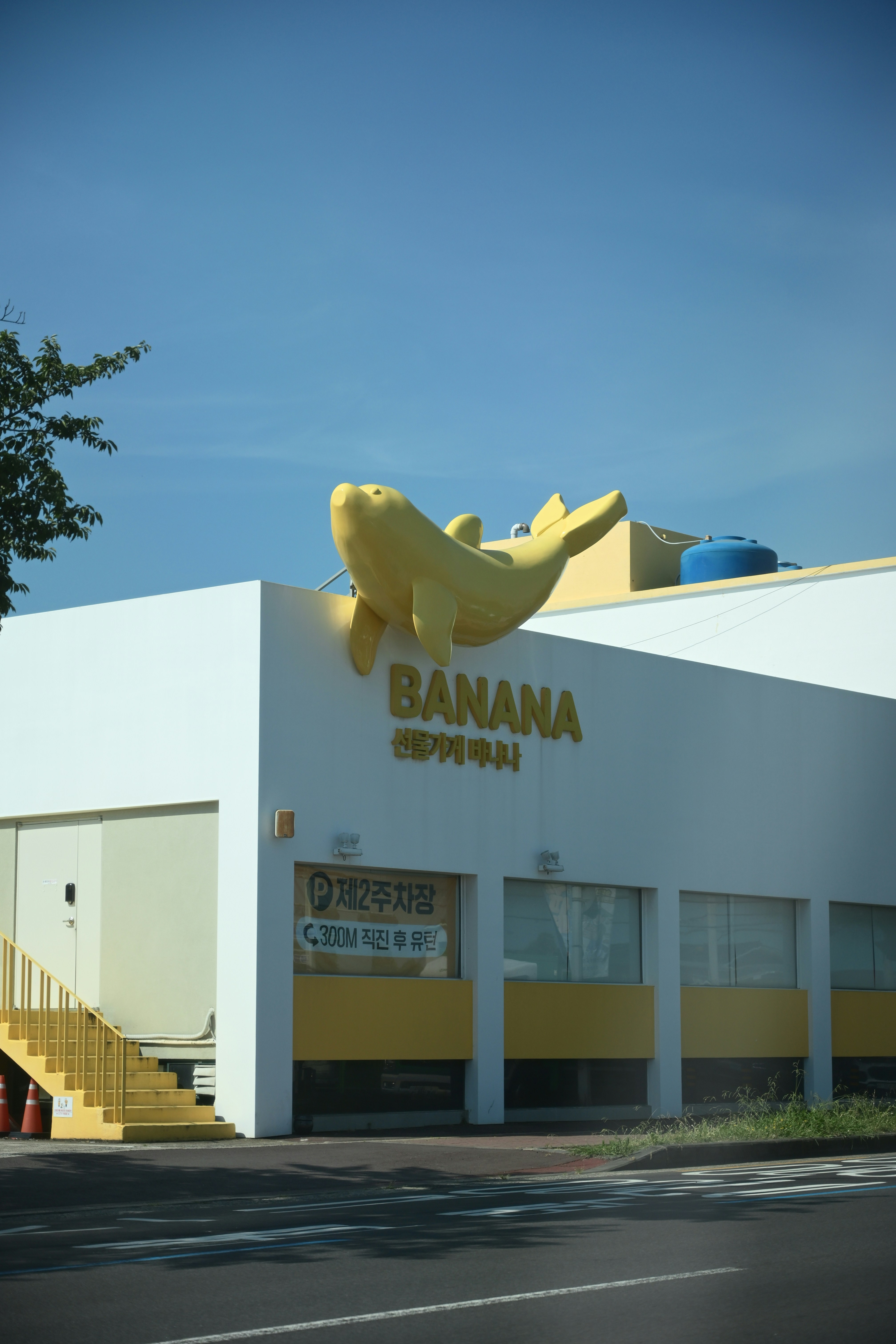 empresa de software personalizado en Palma