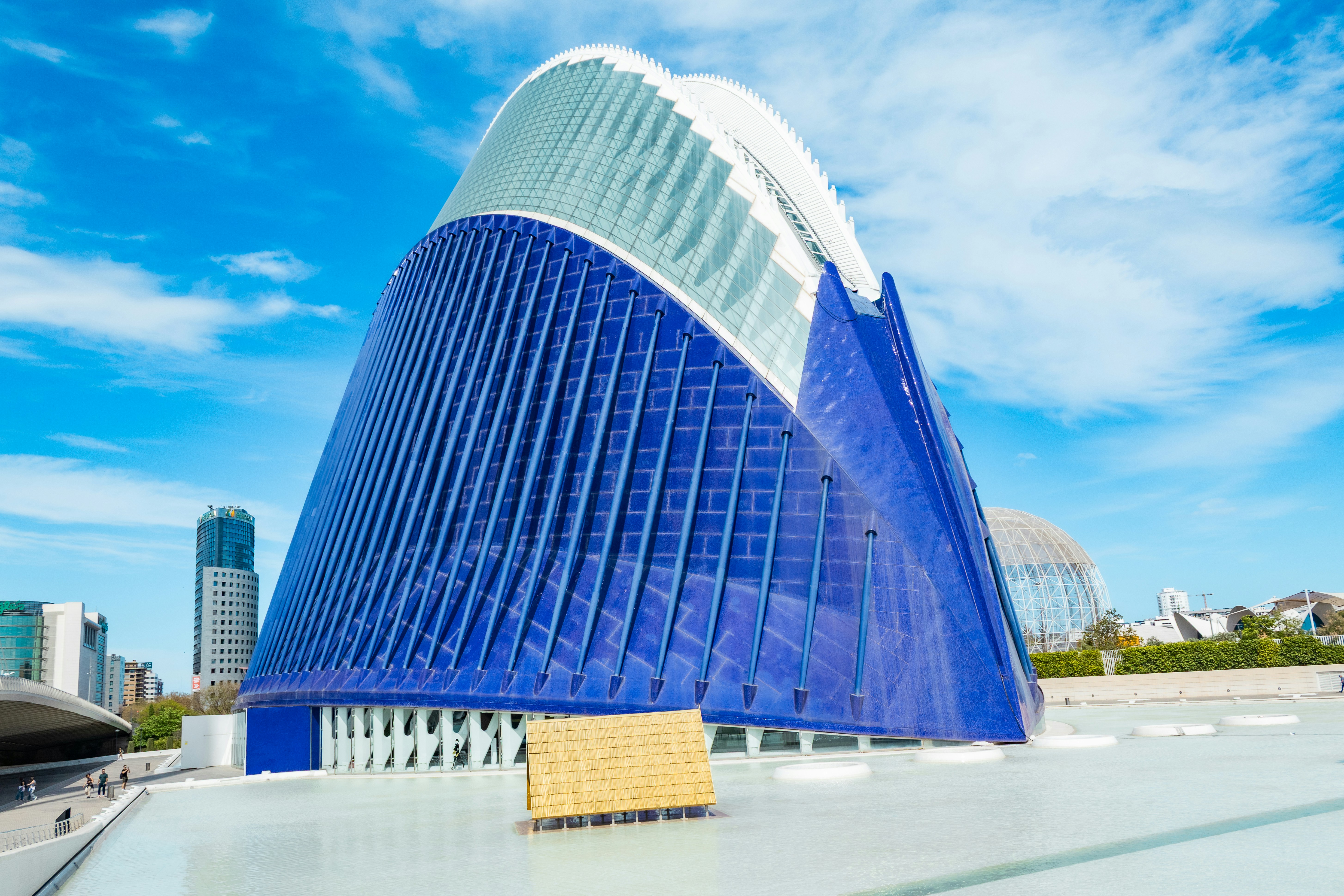 Empresa de software web personalizado para negocios en Valencia