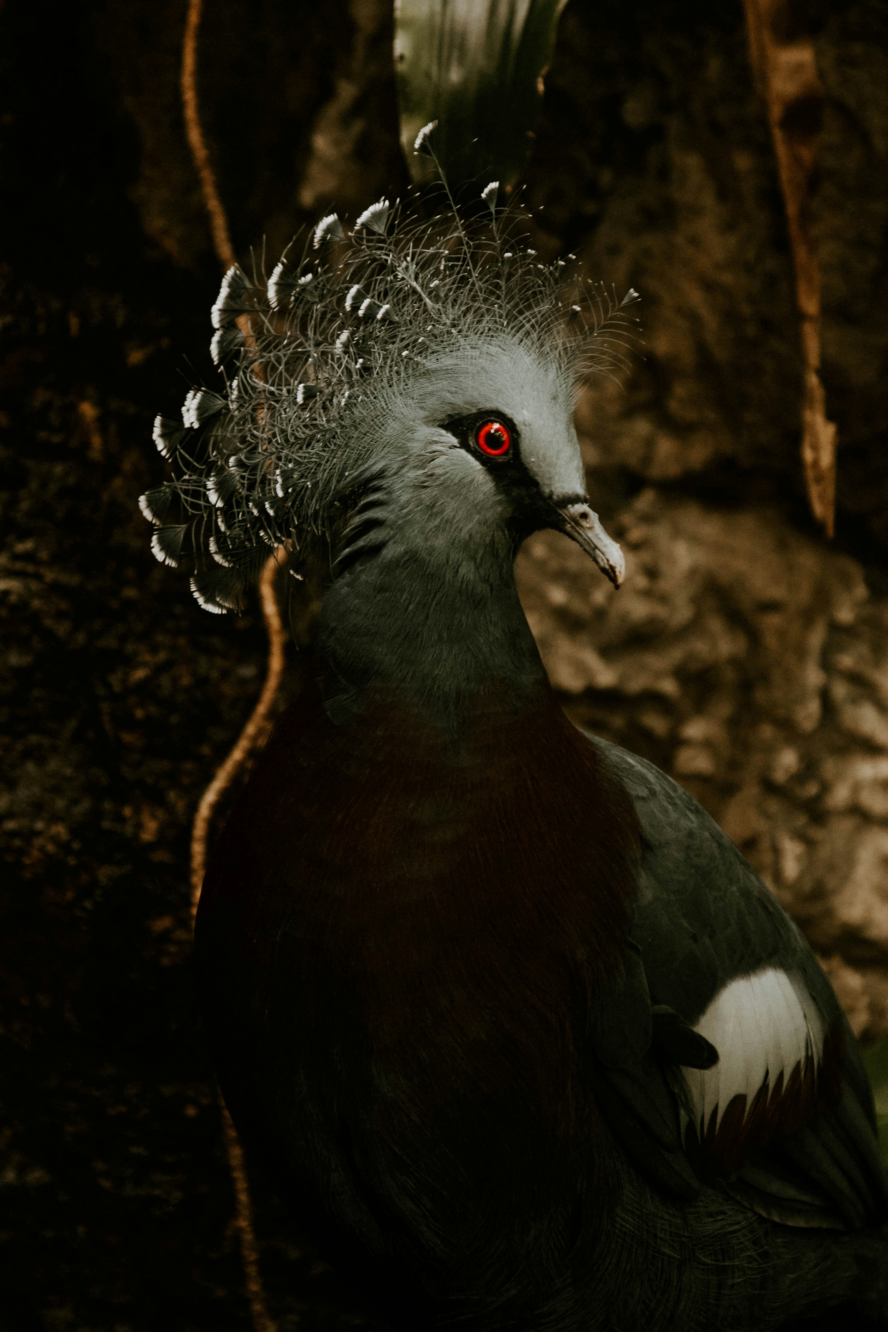 Empresa de avatar de metaverso de inteligencia artificial en A Coruña