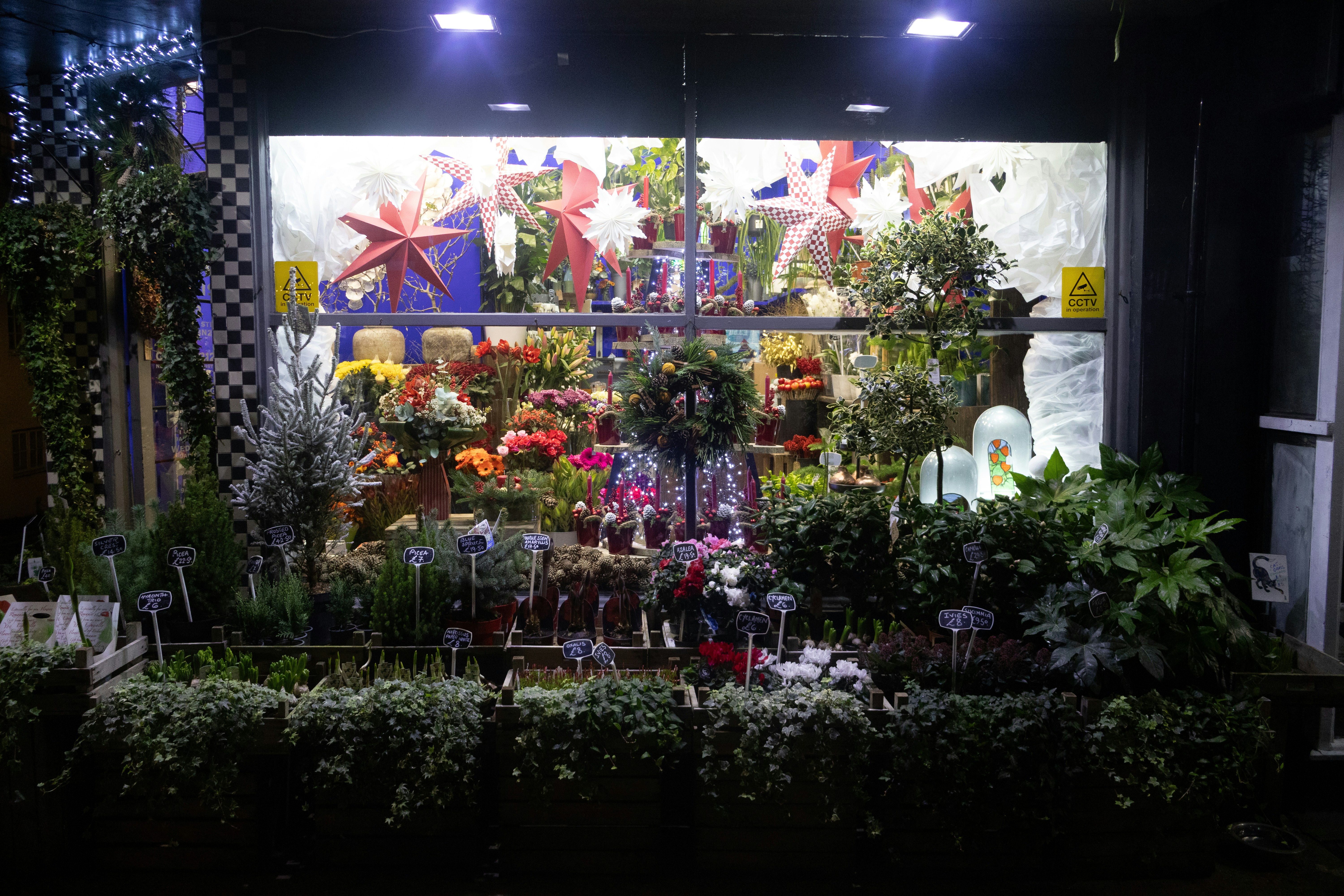 Empresa de servicios de sistema de gestión de floristería en Barcelona