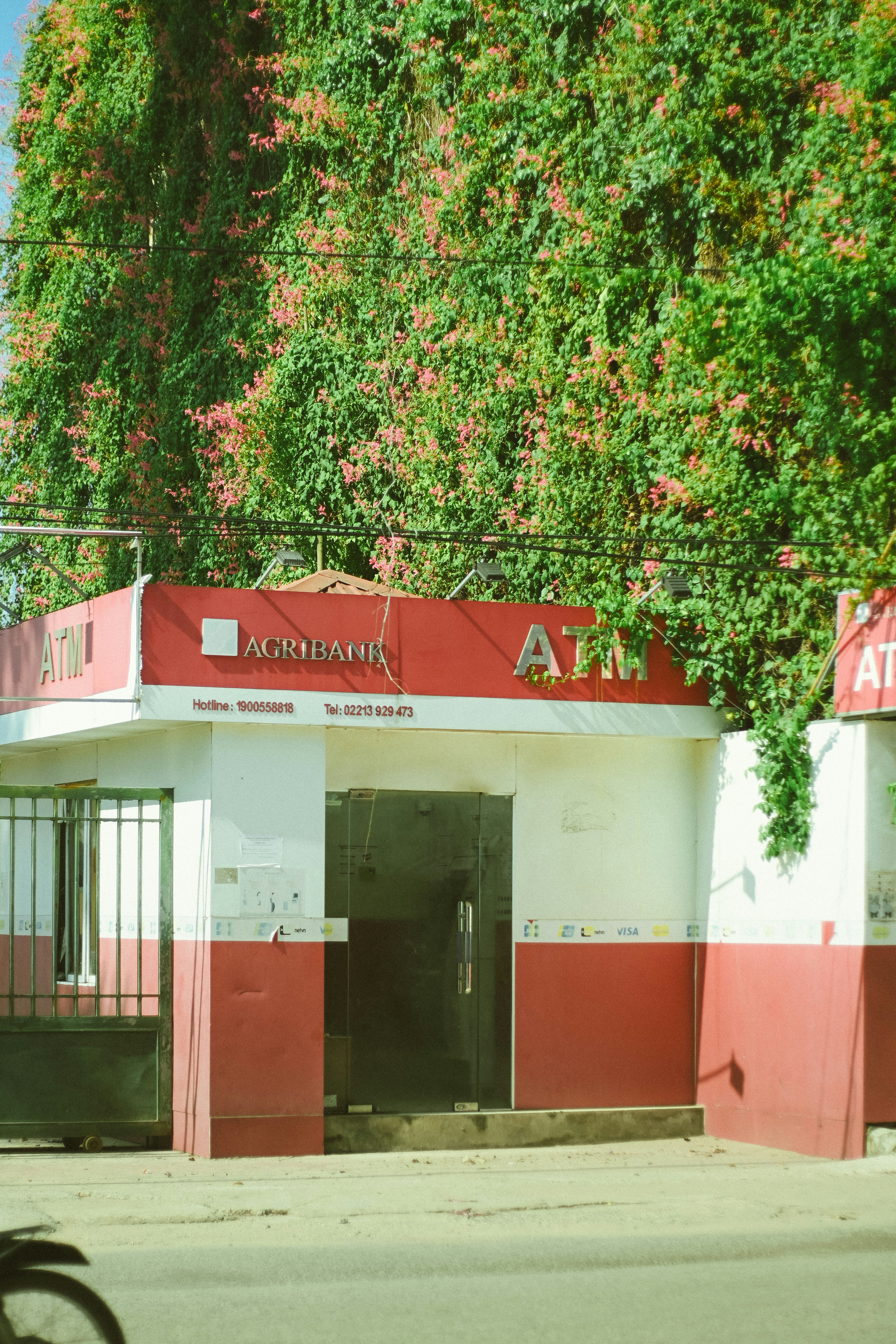 Empresa de inteligencia artificial en Los Alcázares