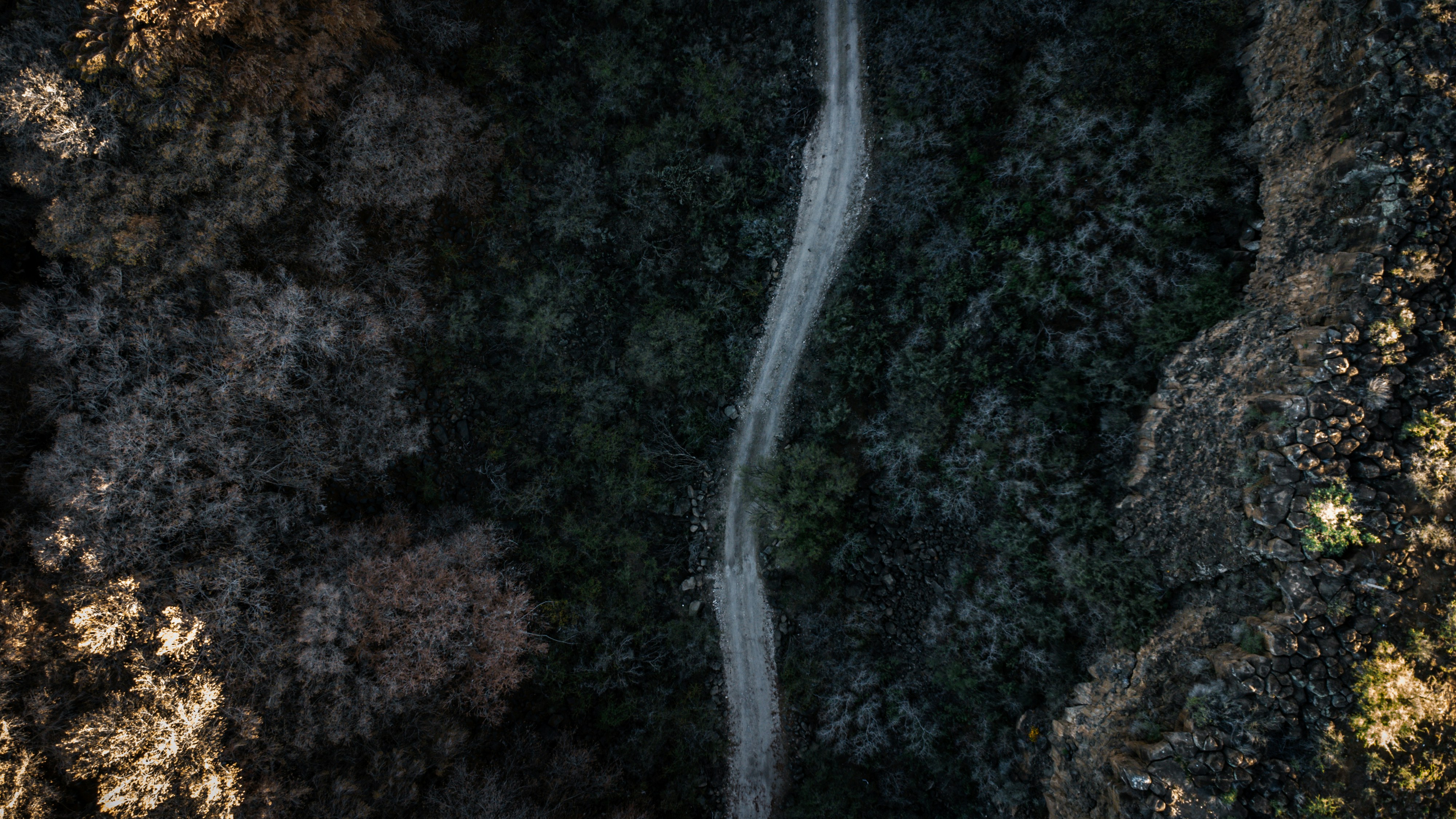 Empresa de servicios de programación de aplicaciones en Durango