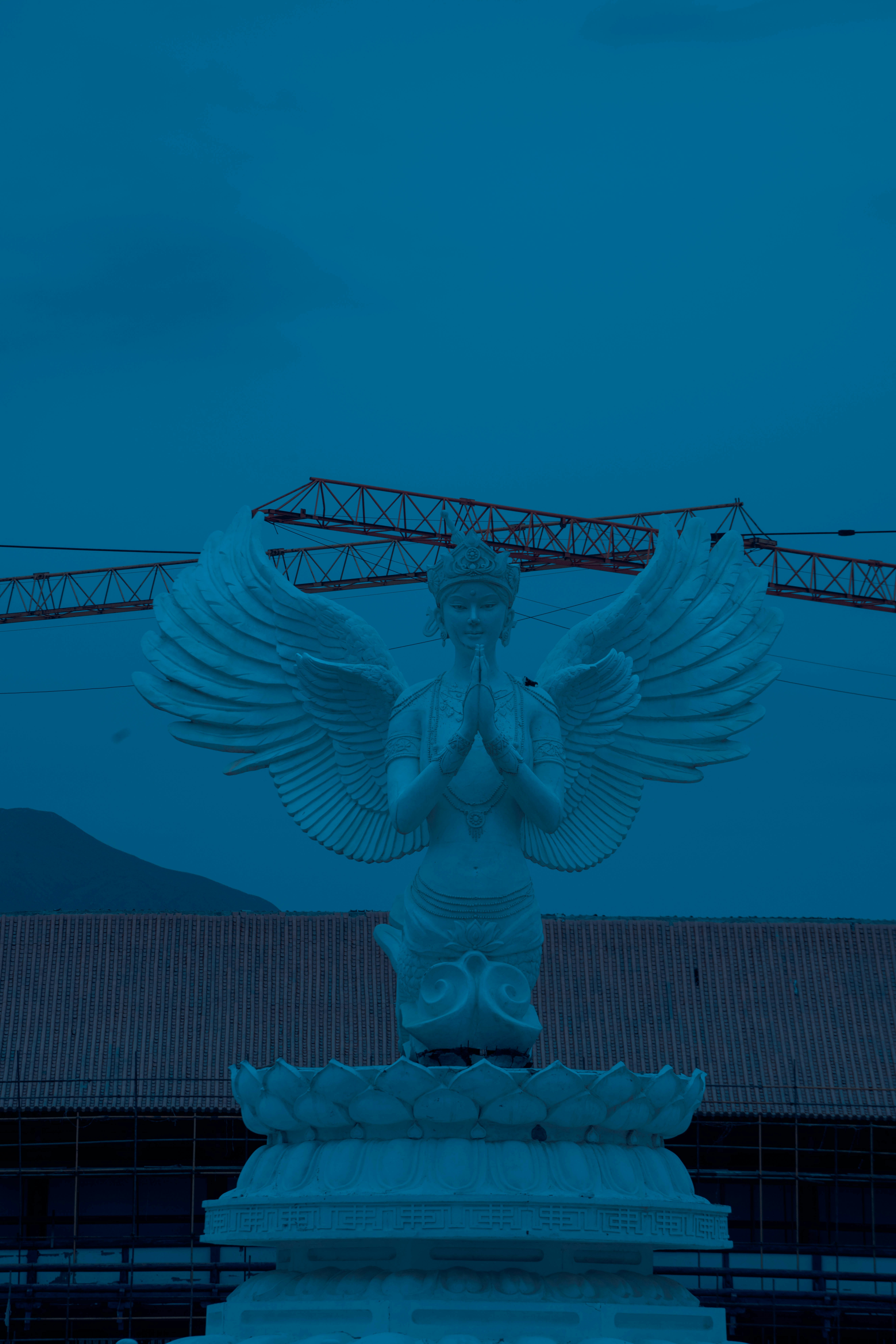 Servicios de inteligencia artificial en Águilas