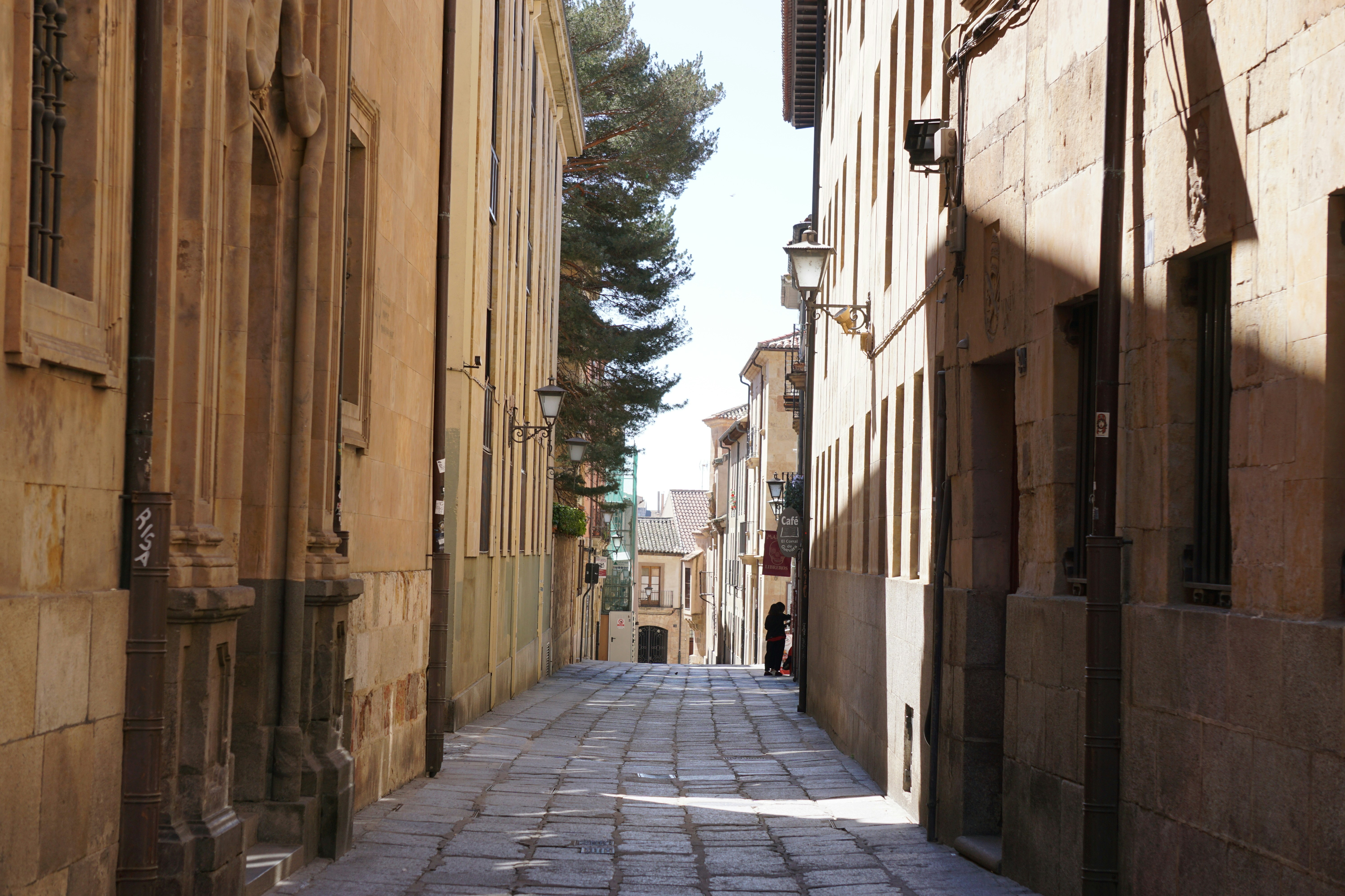 Servicios de software personalizados en Salamanca