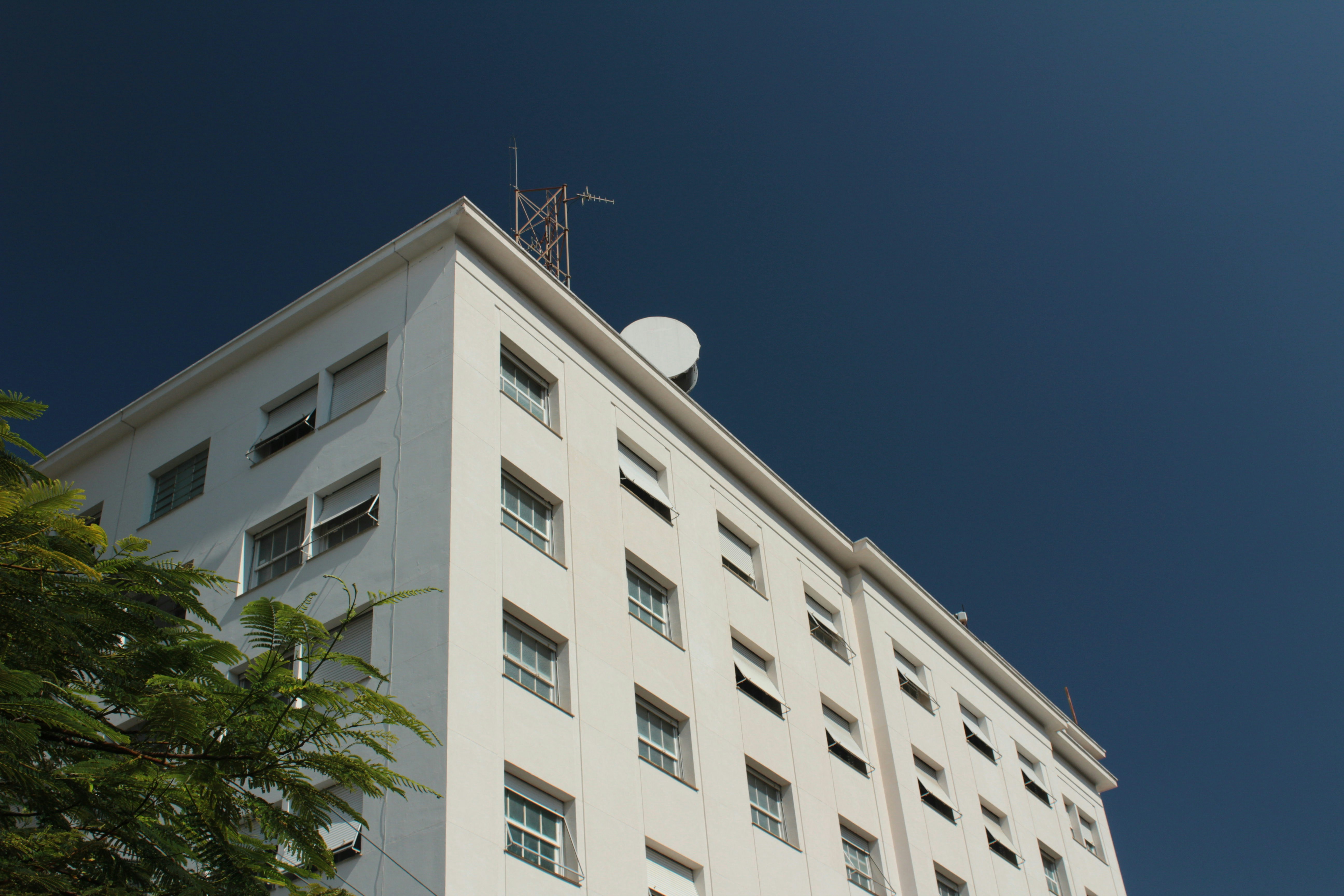 Compañía de servicios de inteligencia empresarial en Las Palmas de Gran Canaria