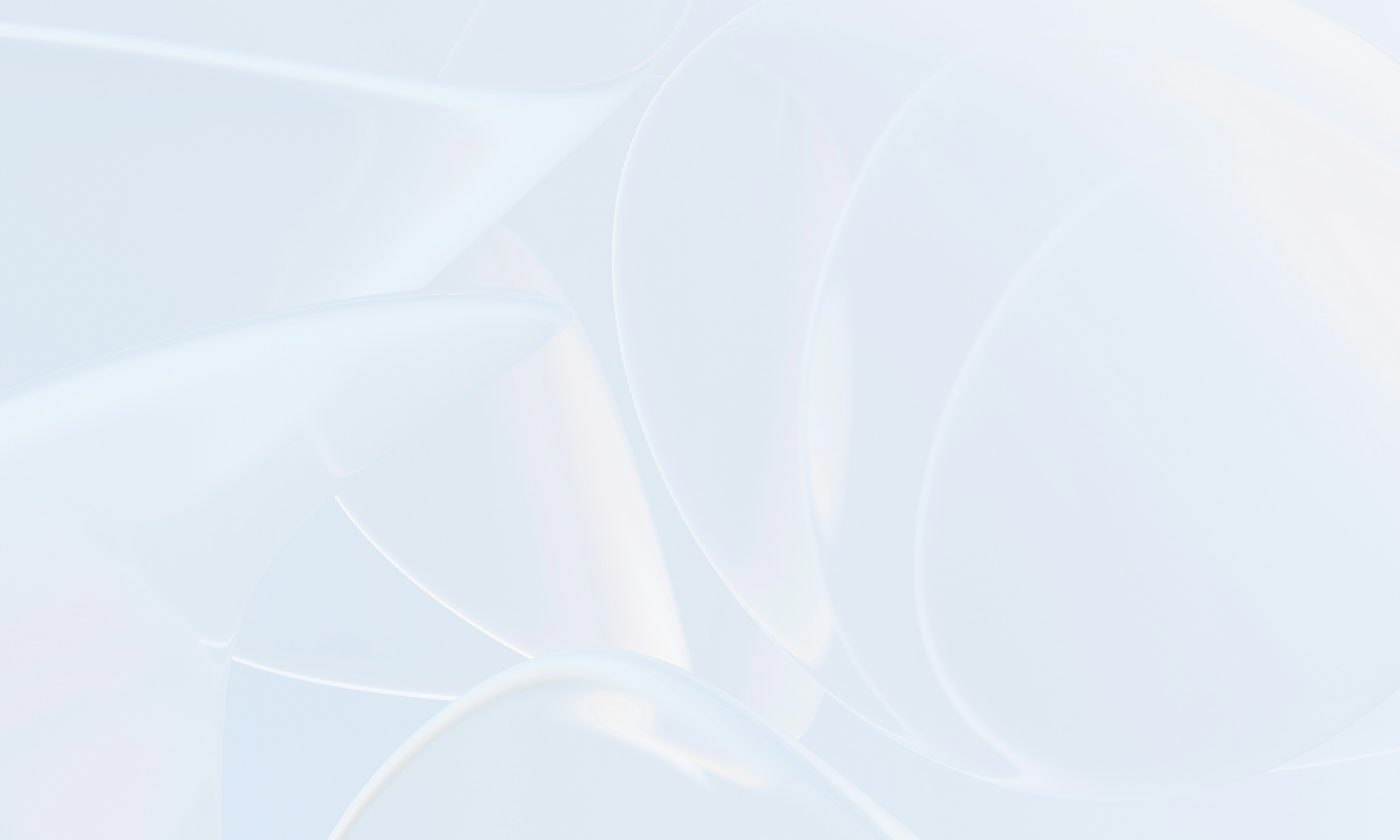 Socio de servicios de desarrollo tecnológico líder