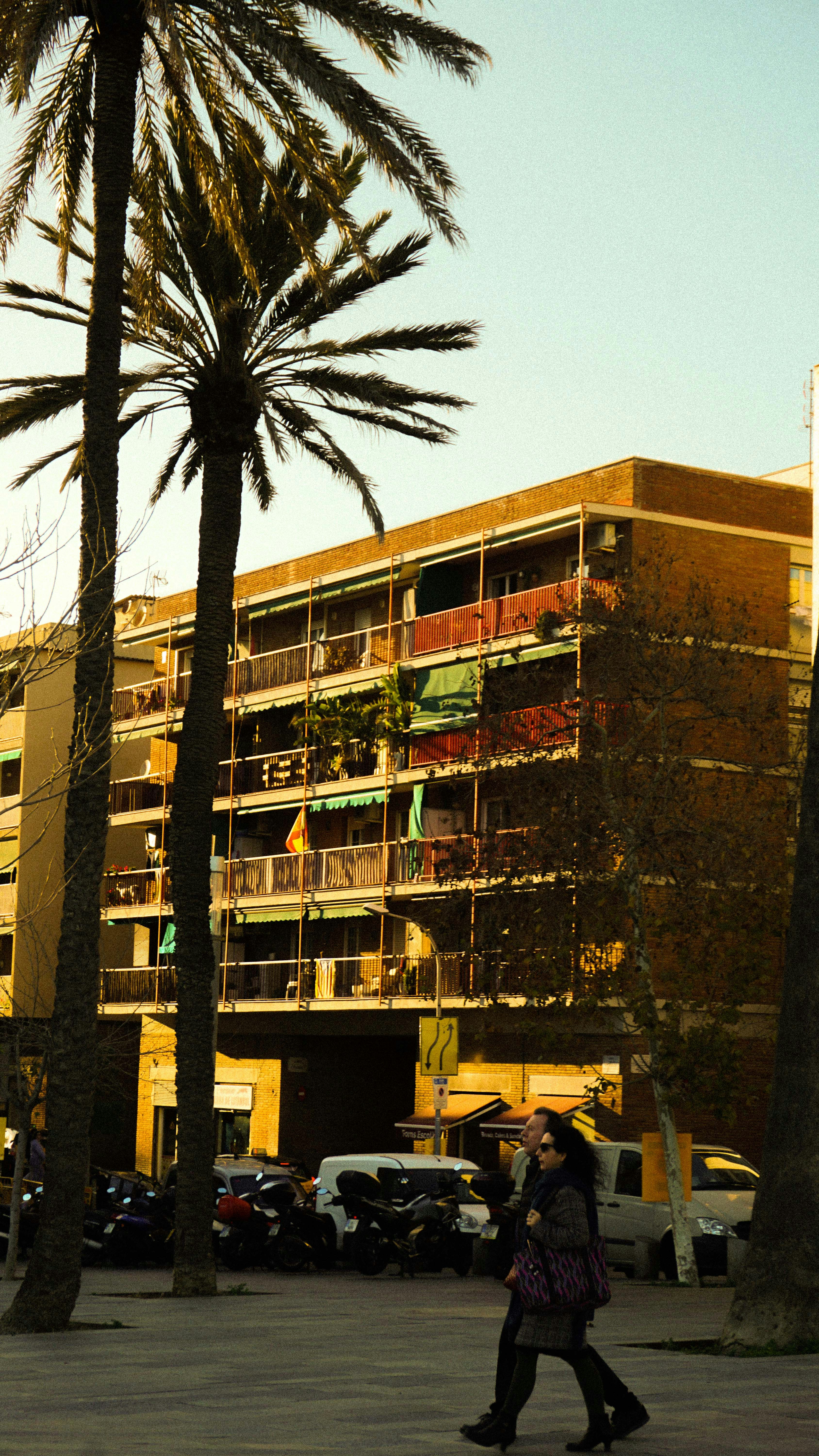 Mejores 20 empresas para eliminar tareas repetitivas de oficina en Valencia