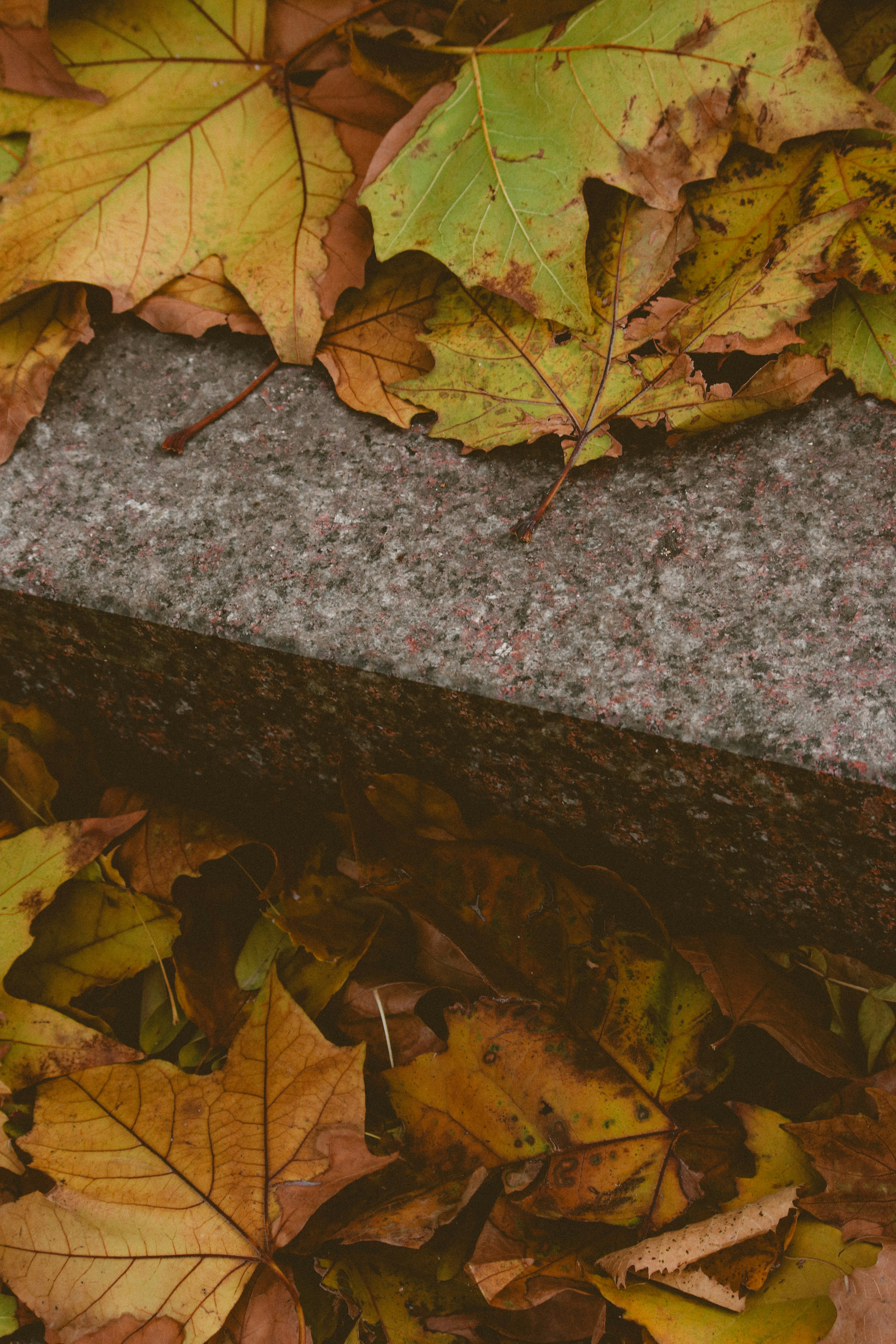 Los 10 mejores expertos en la transición de hojas de cálculo a la automatización en Santa Cruz de Tenerife 2026