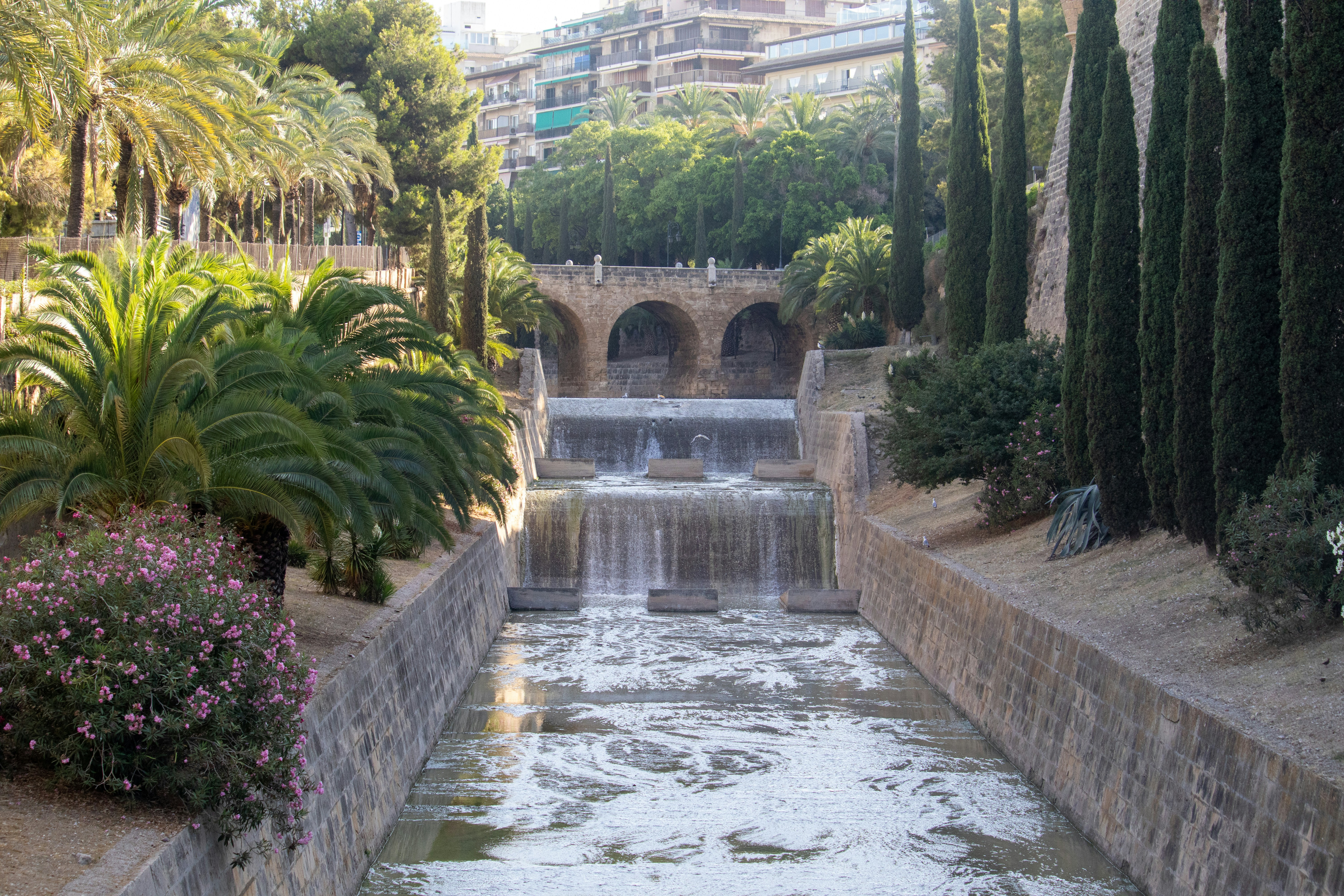 Principales 3 Expertos en automatizar el control de flujo de efectivo en Palma