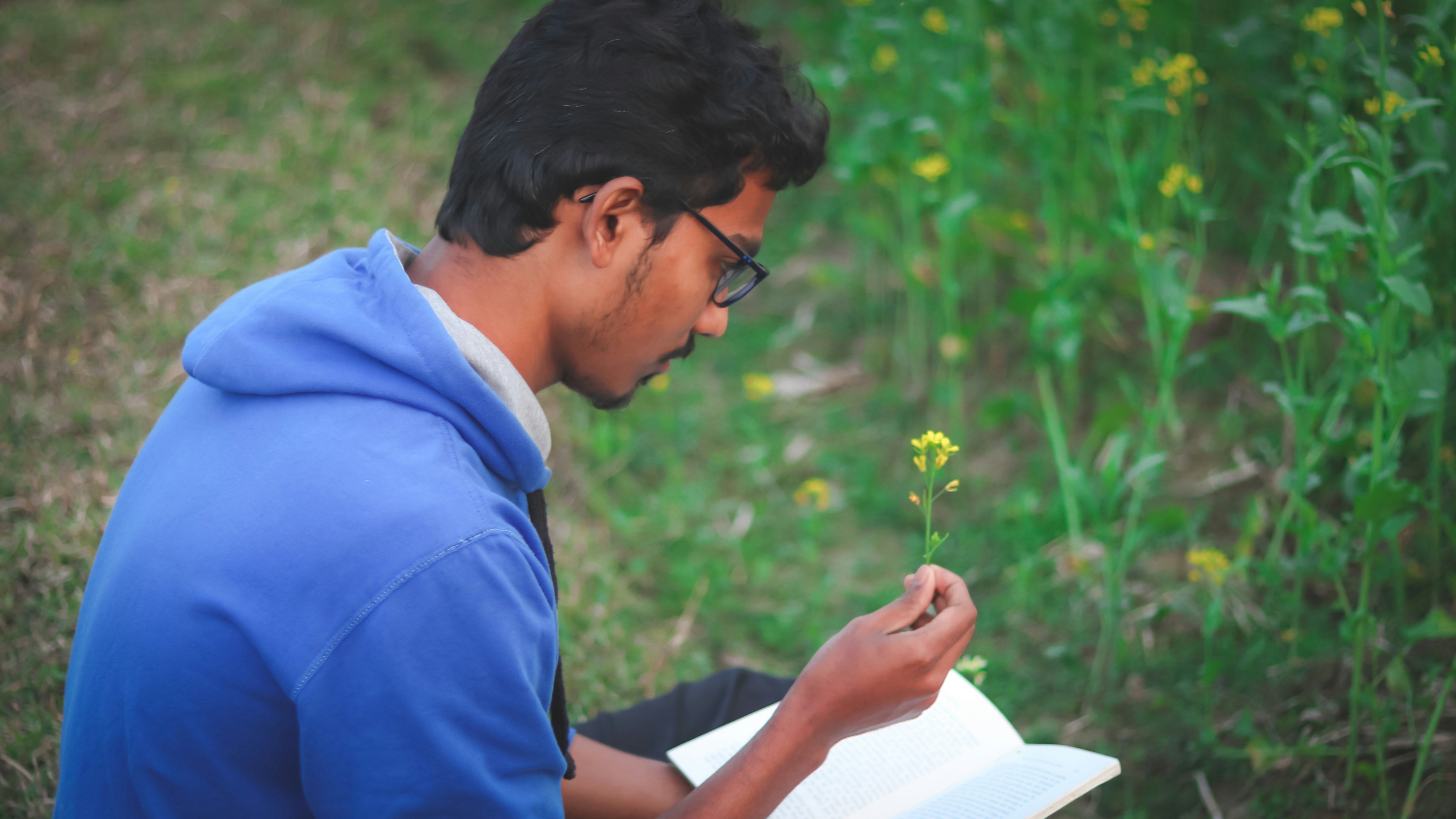 Compañero de estudio de AI