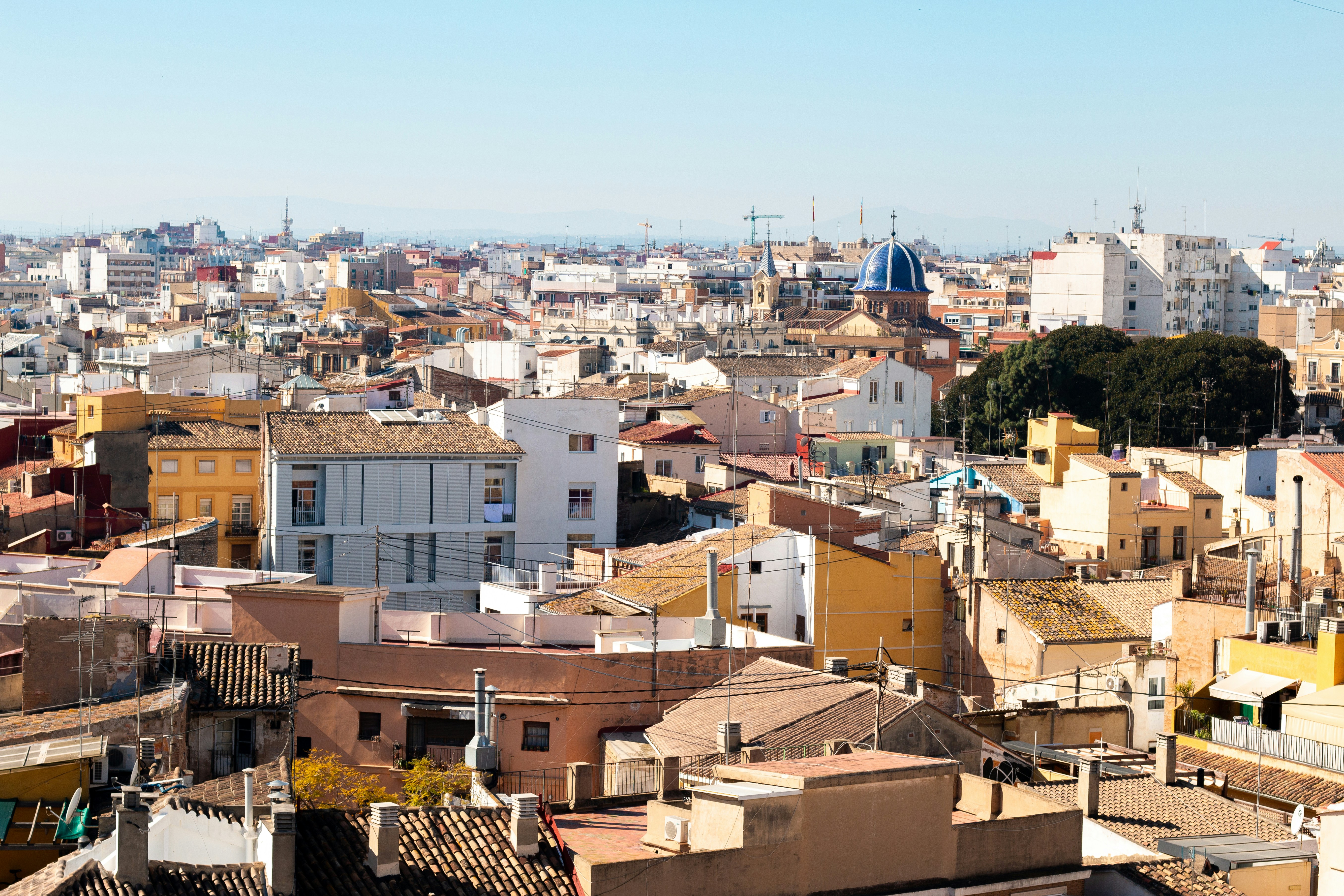 Mejor portal de miembros con automatización de renovación en Valencia 2026