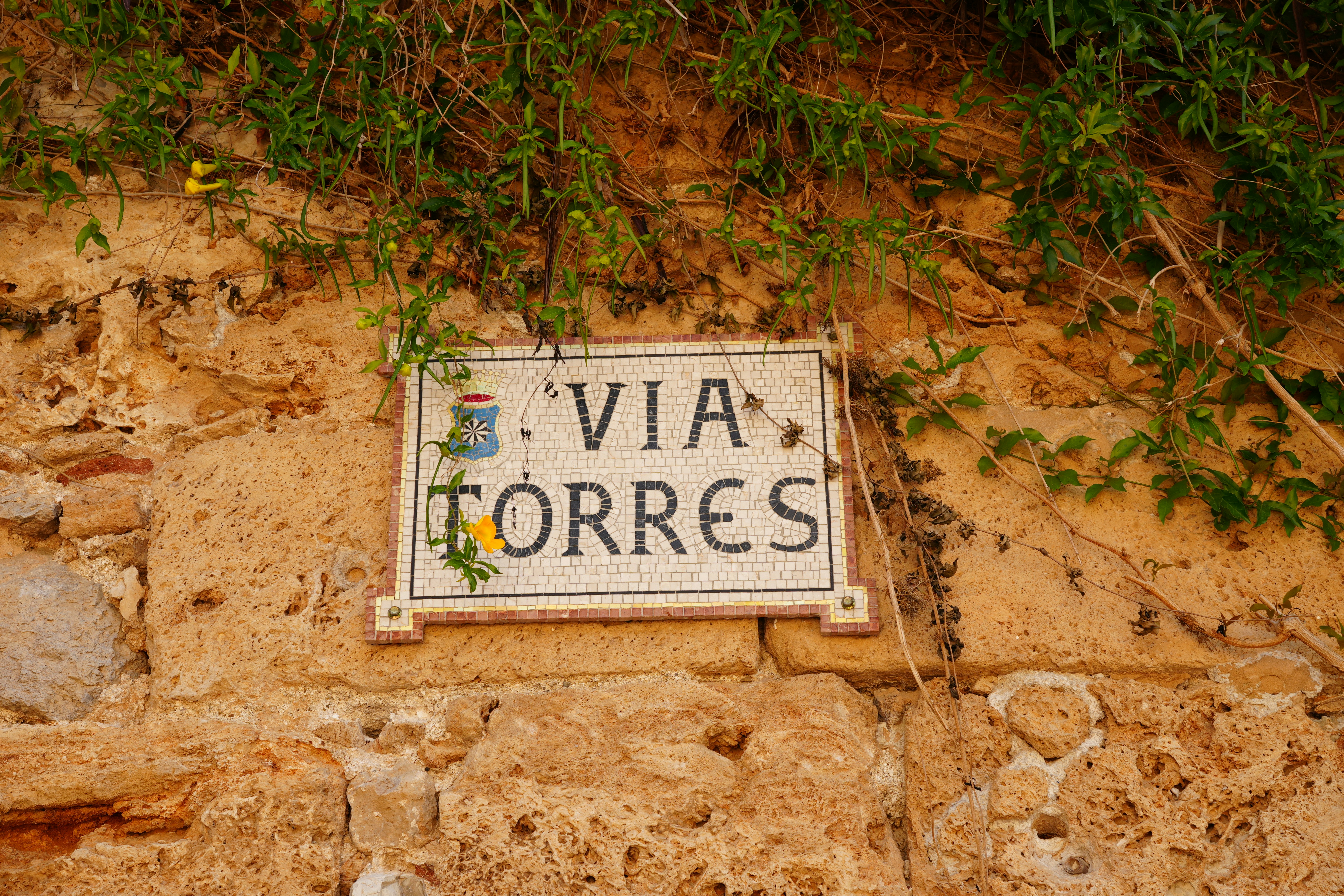 La guía definitiva para encontrar software empresarial en Torrevieja