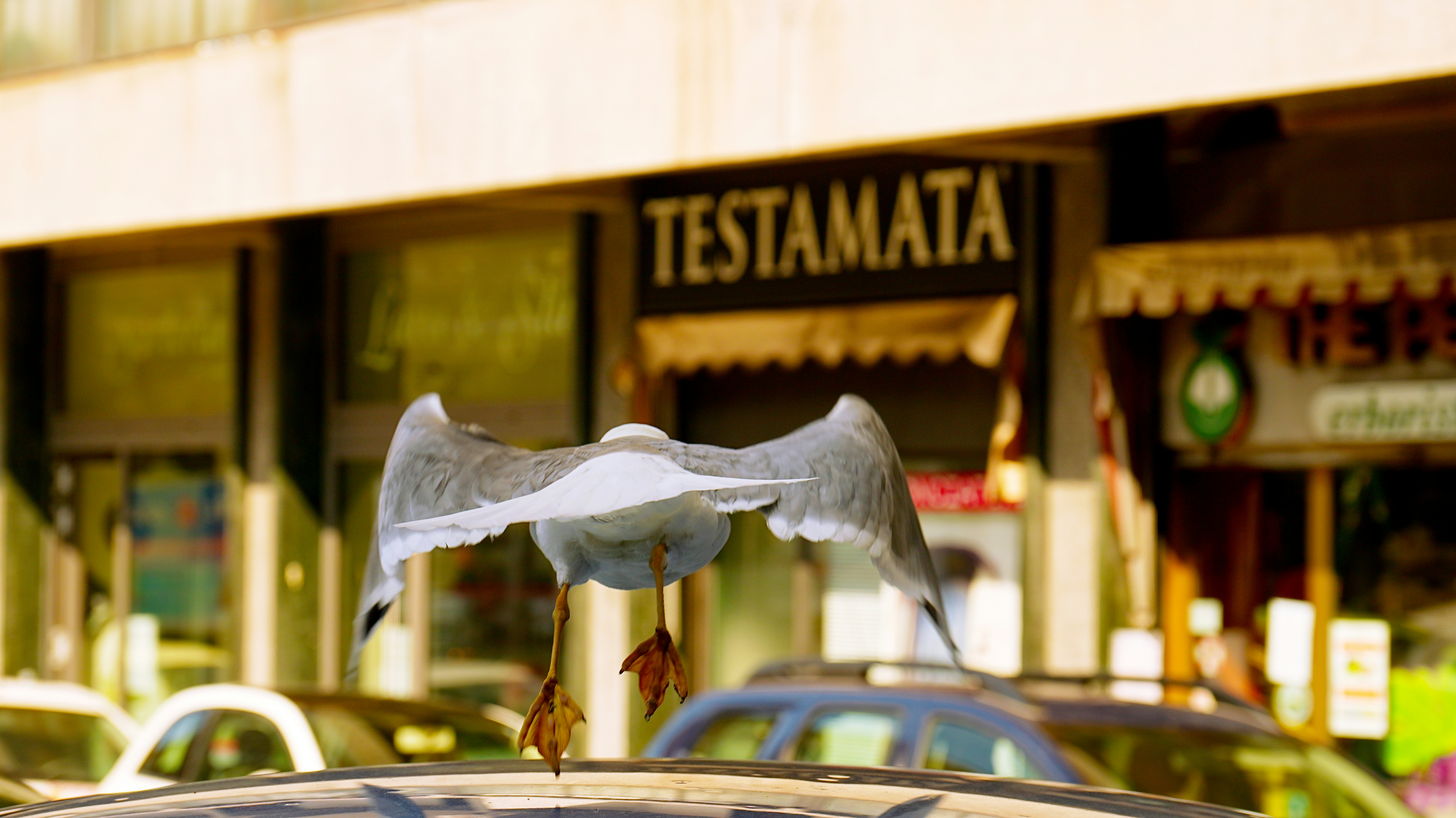 La guía definitiva para encontrar software de negocios en Totana