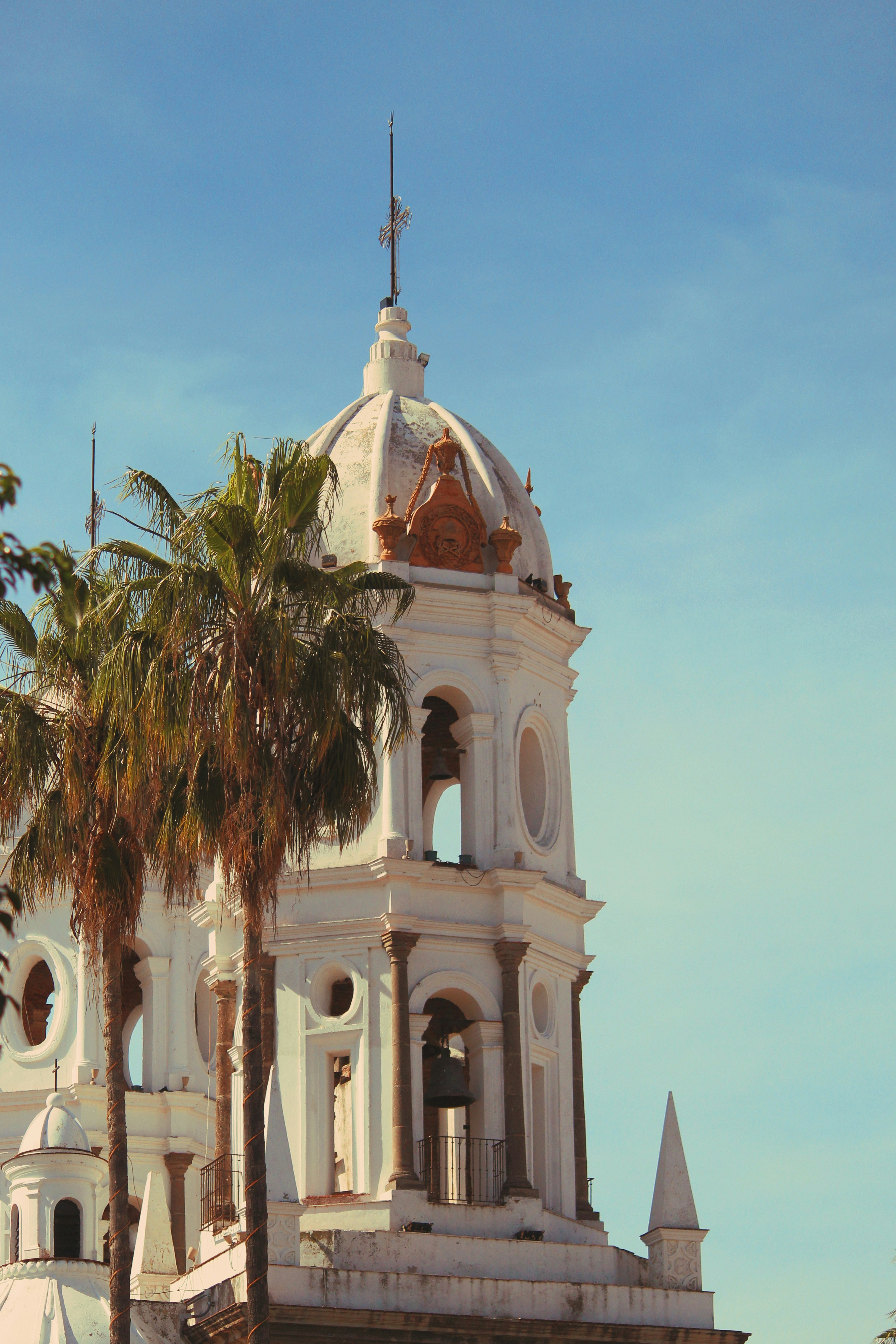 La guía definitiva para encontrar software en San Javier