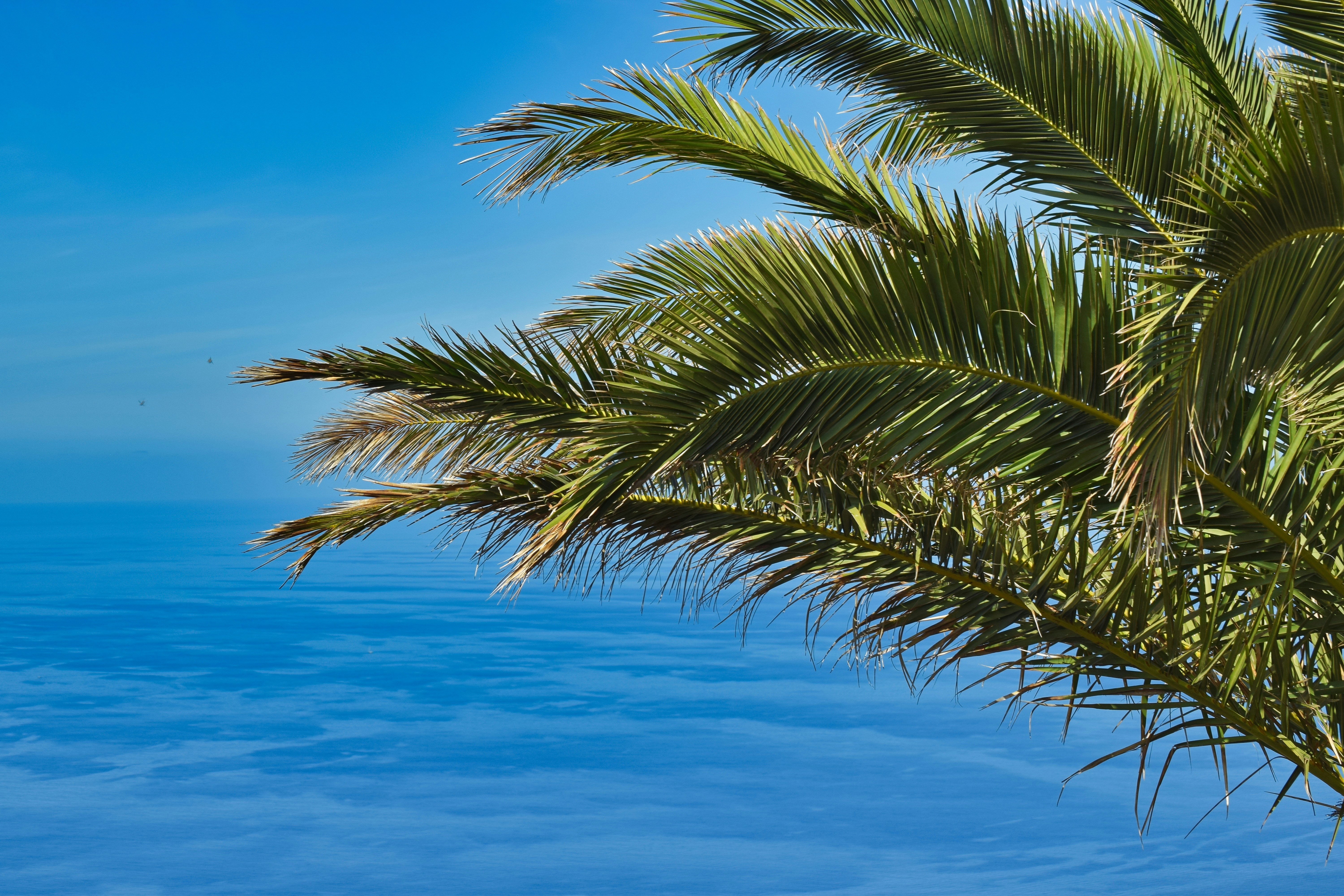 Top 15 Expertos en copiloto de IA para contabilidad en Palma