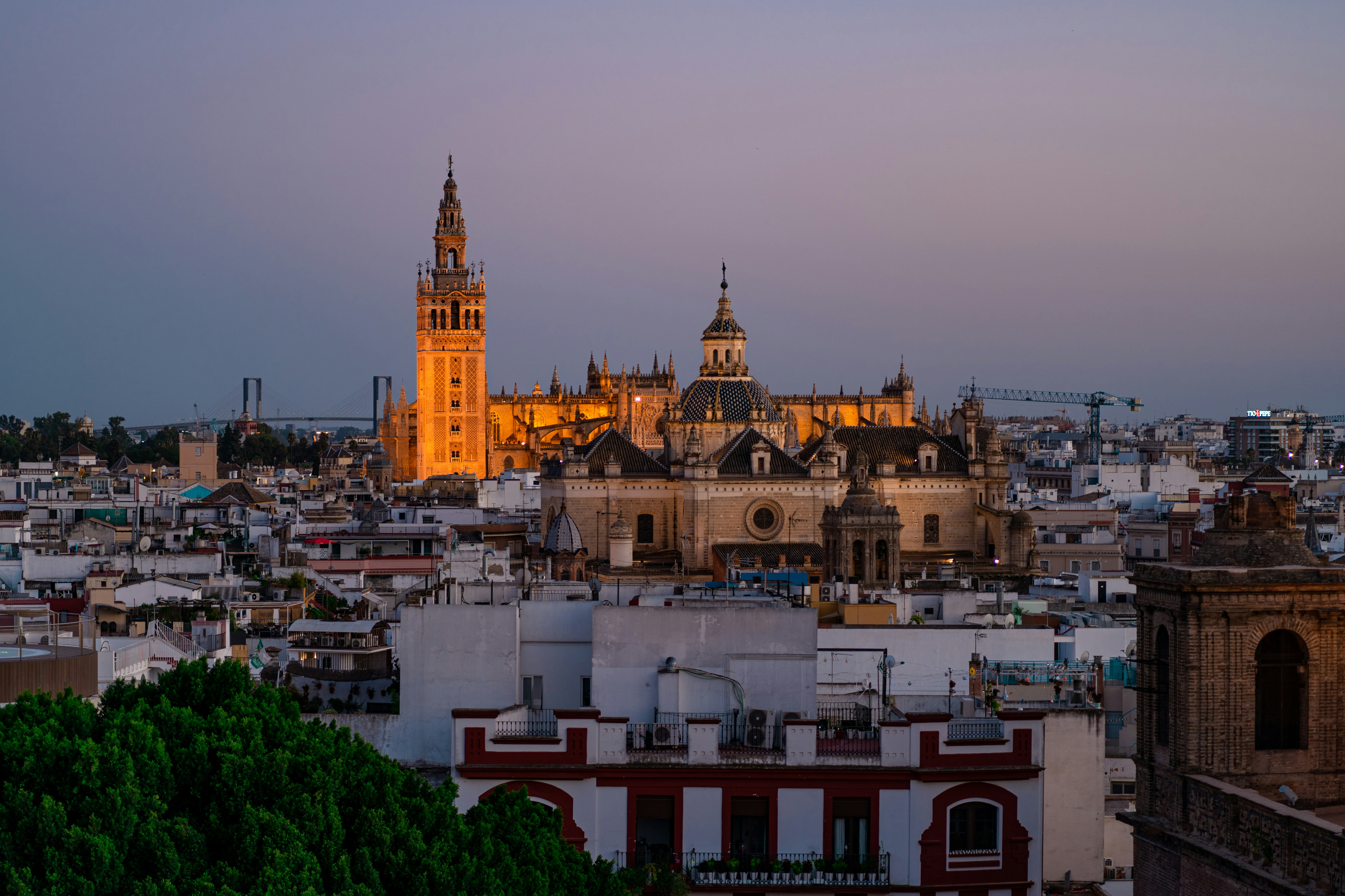 Principales 3 expertos en IA para seguimiento de SLA en Sevilla