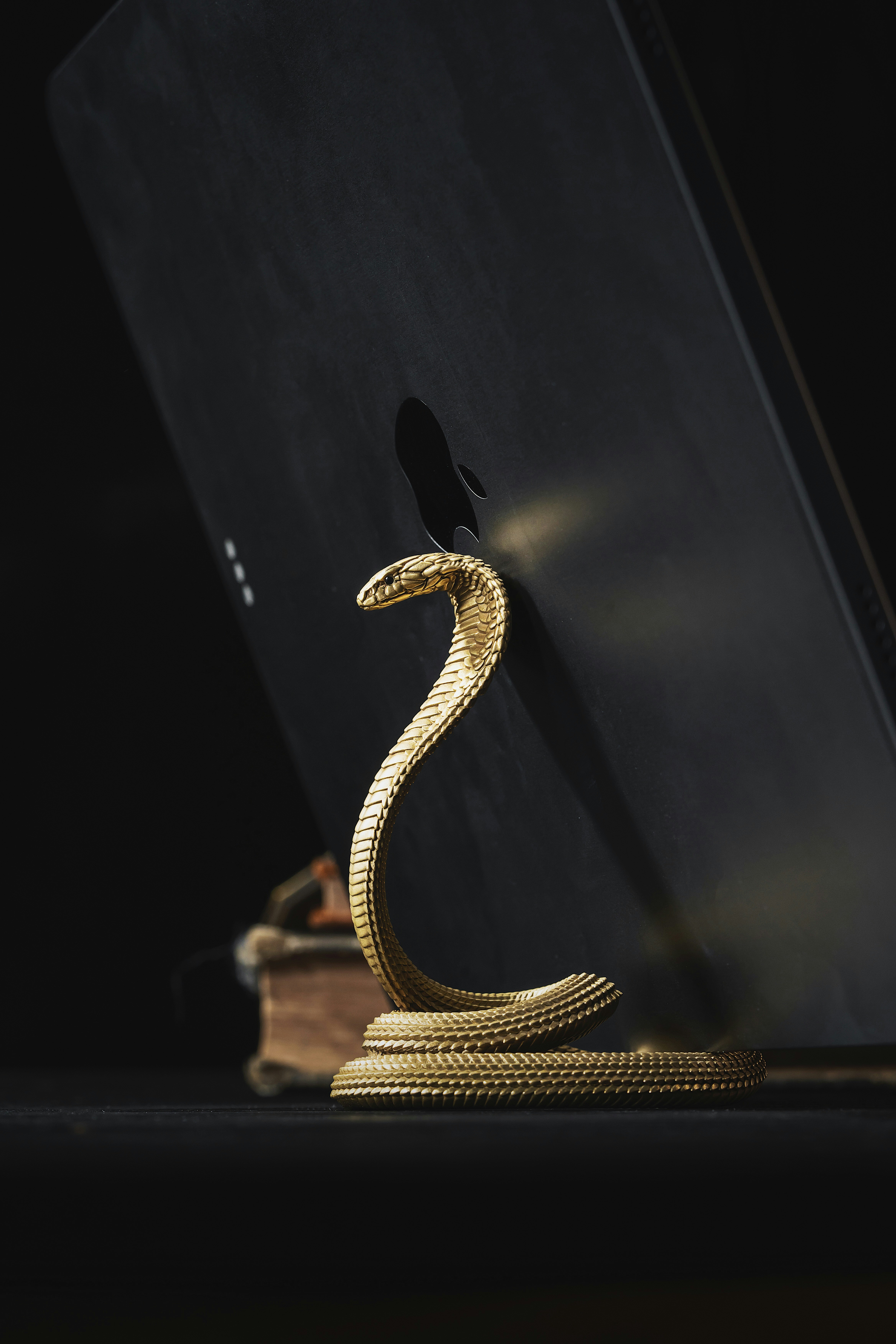 Guía para la contratación de desarrollo de Python (La única que necesitas)