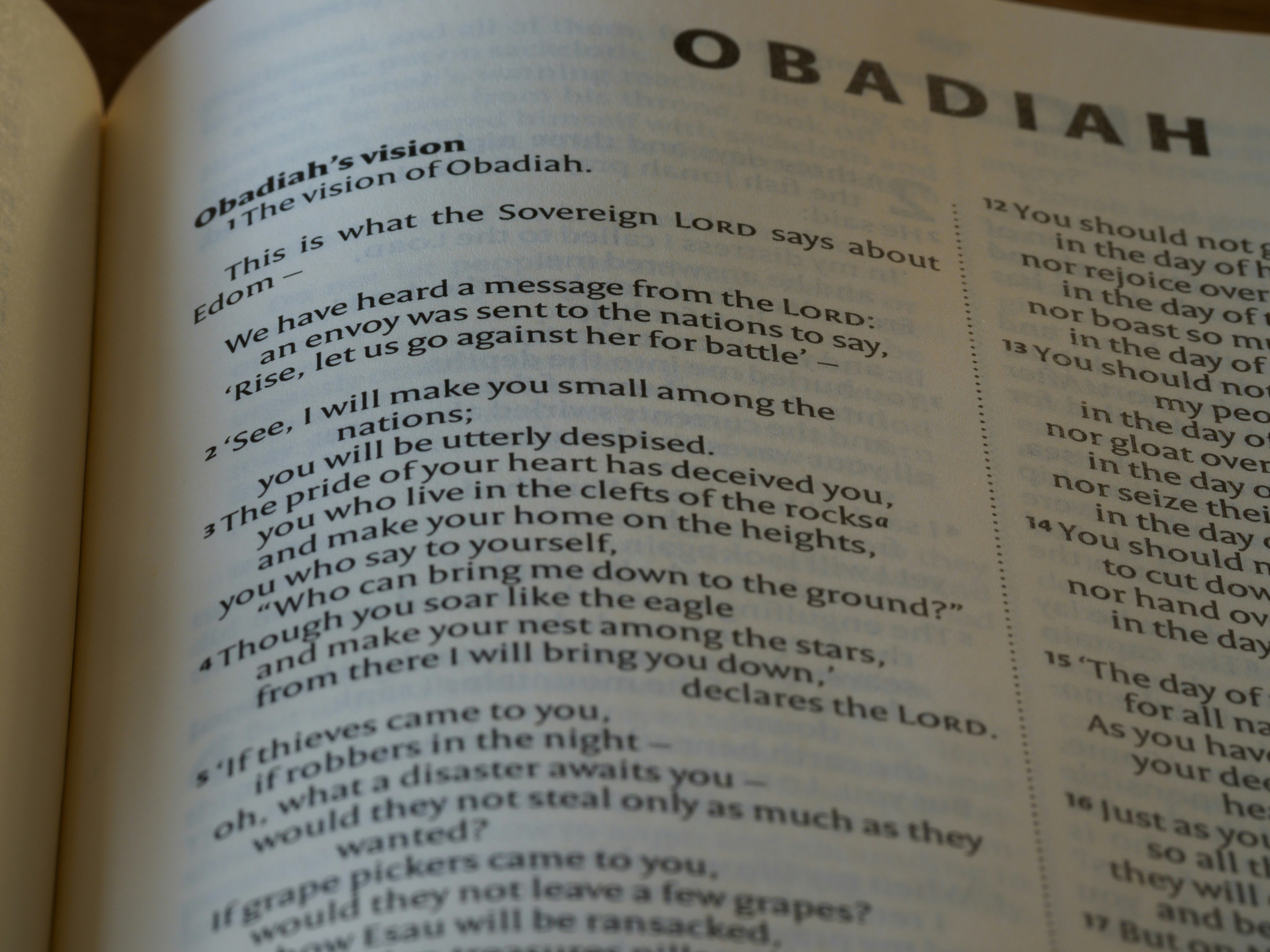 La guía definitiva para encontrar Power BI en Erandio