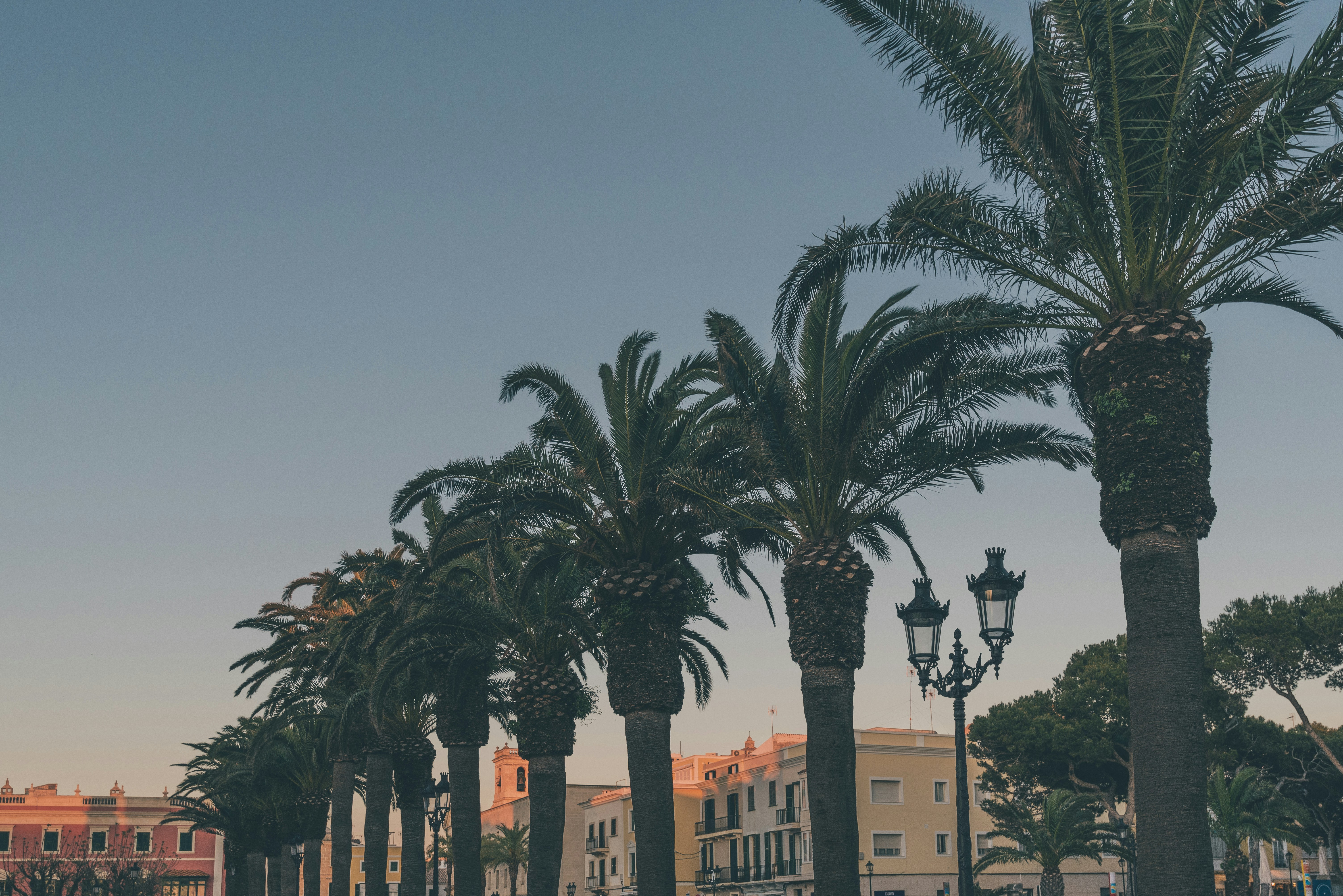 La Guía Definitiva para Encontrar desarrollo de aplicaciones web en Palma