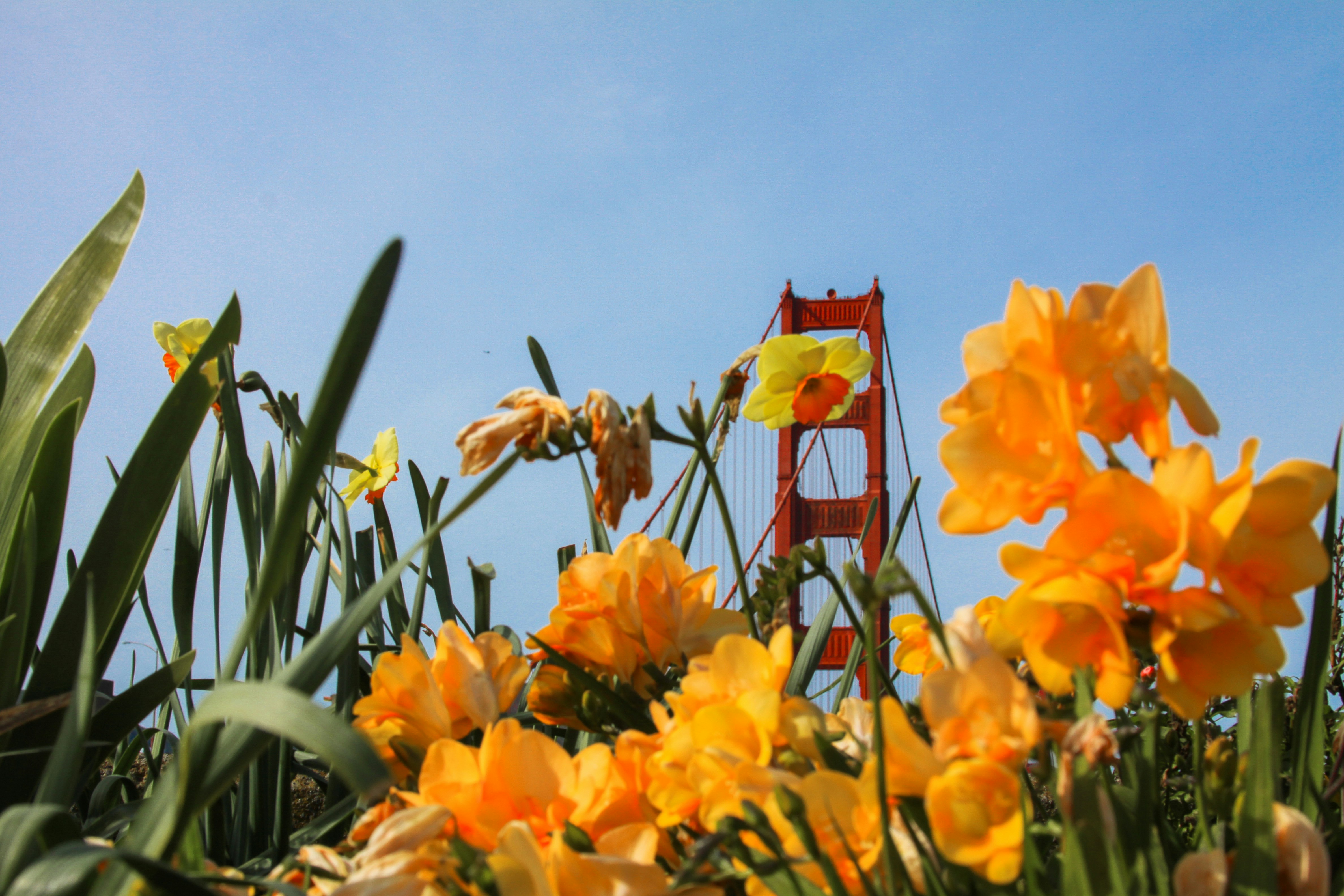 Top 50 Empresas para programación de aplicaciones en Santa Cruz de Tenerife