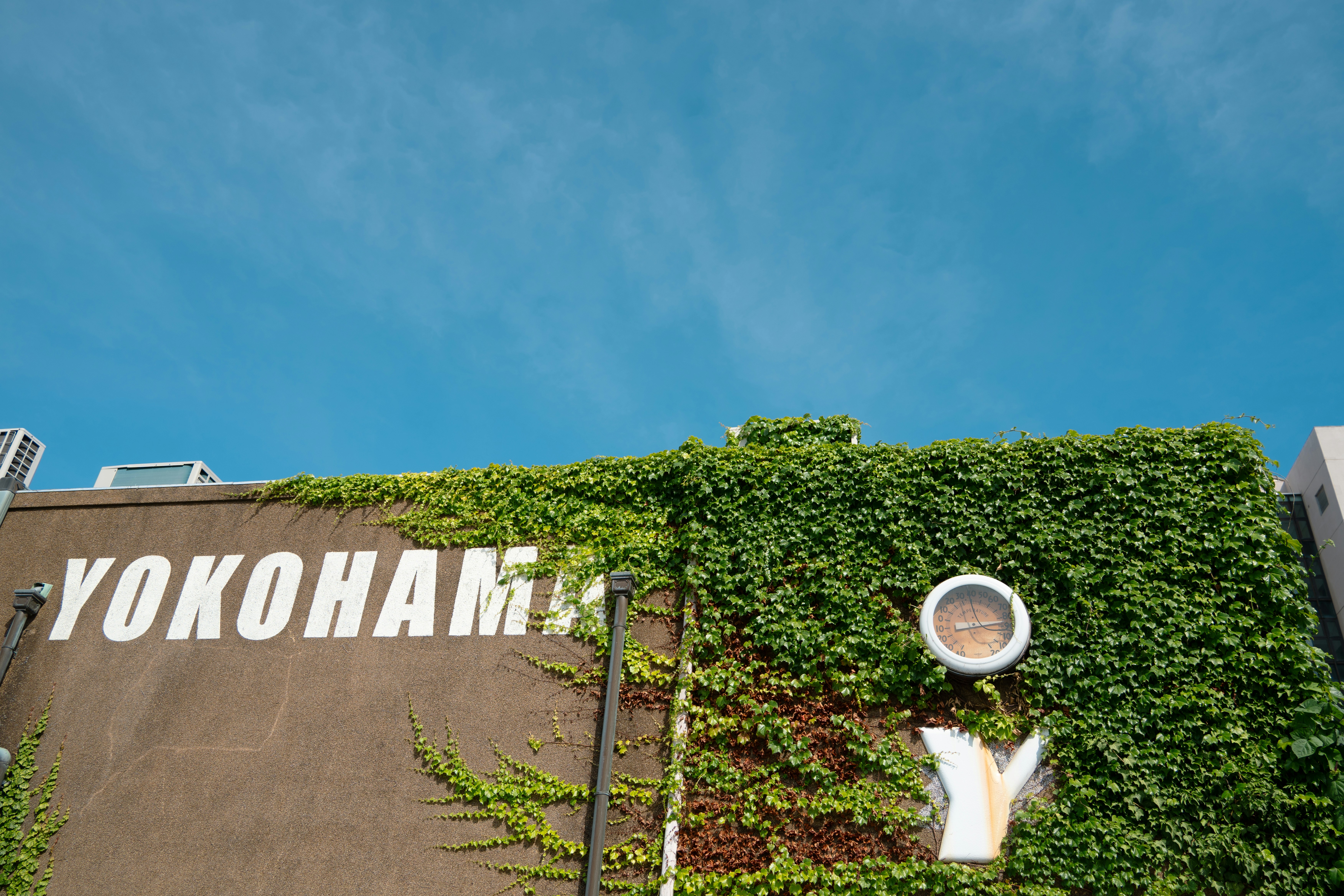 Las 10 mejores empresas de software personalizado en Totana