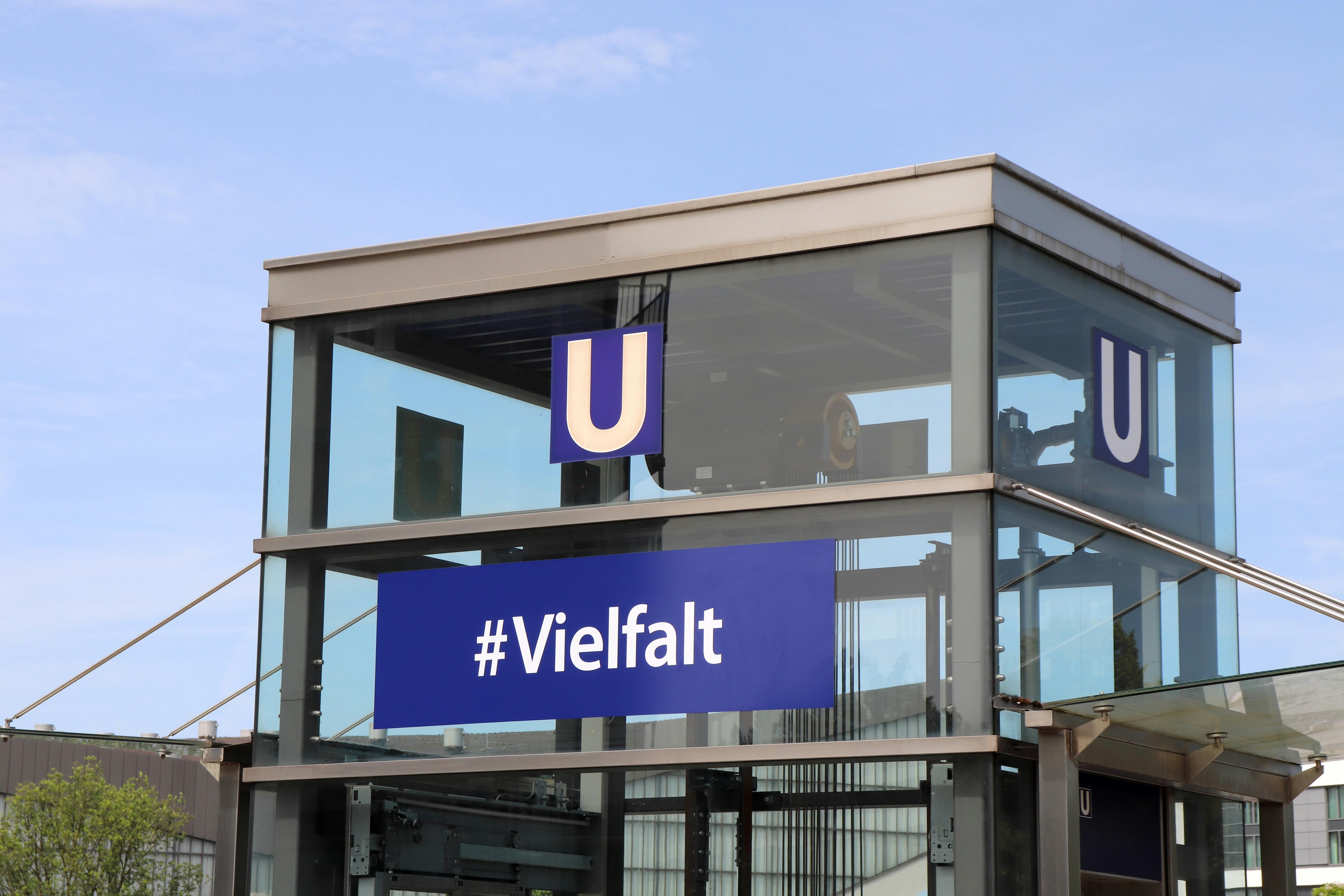 Top 50 Empresas para aplicaciones en Villena